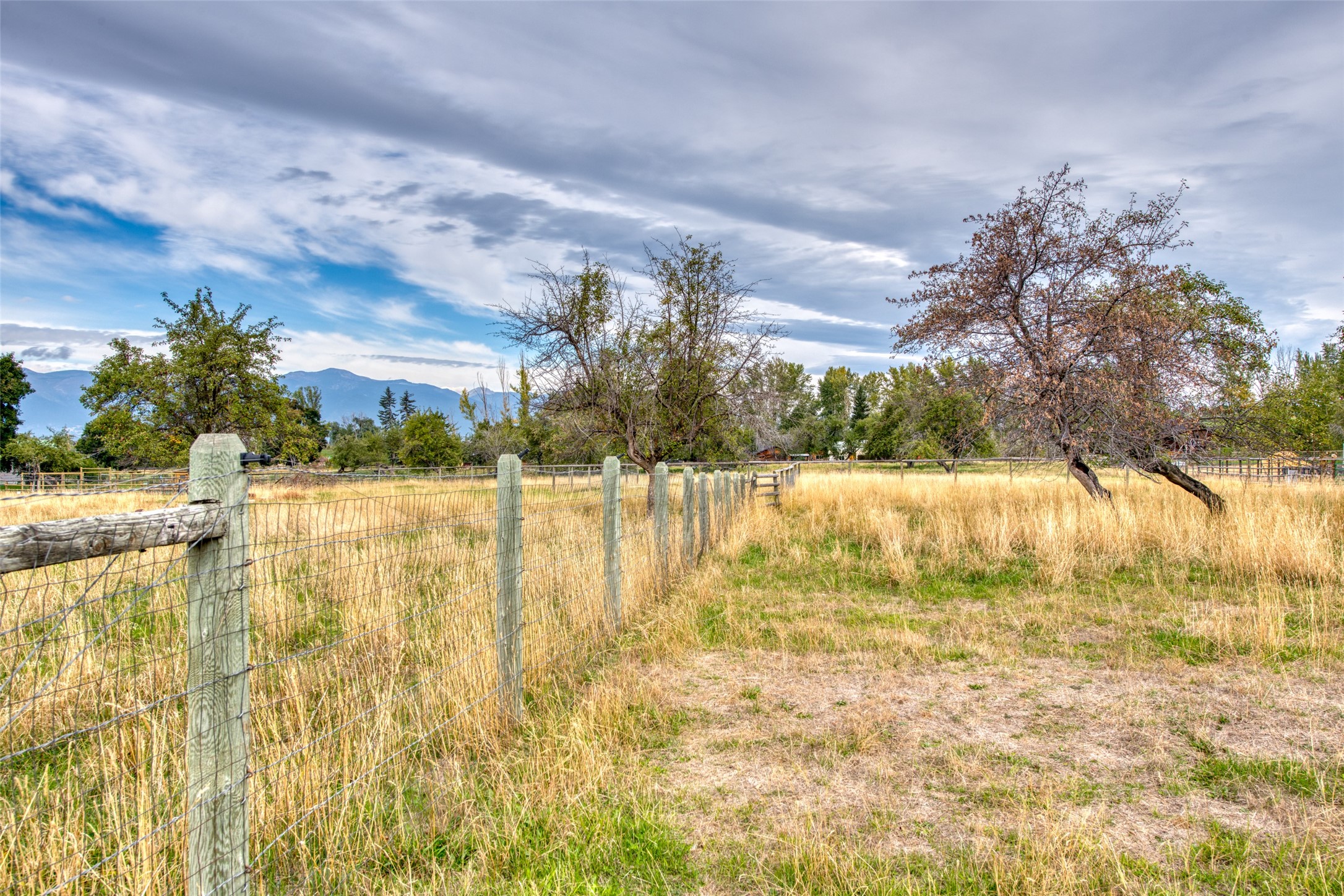 1255 Apple Blossom Lane Property Photo 48