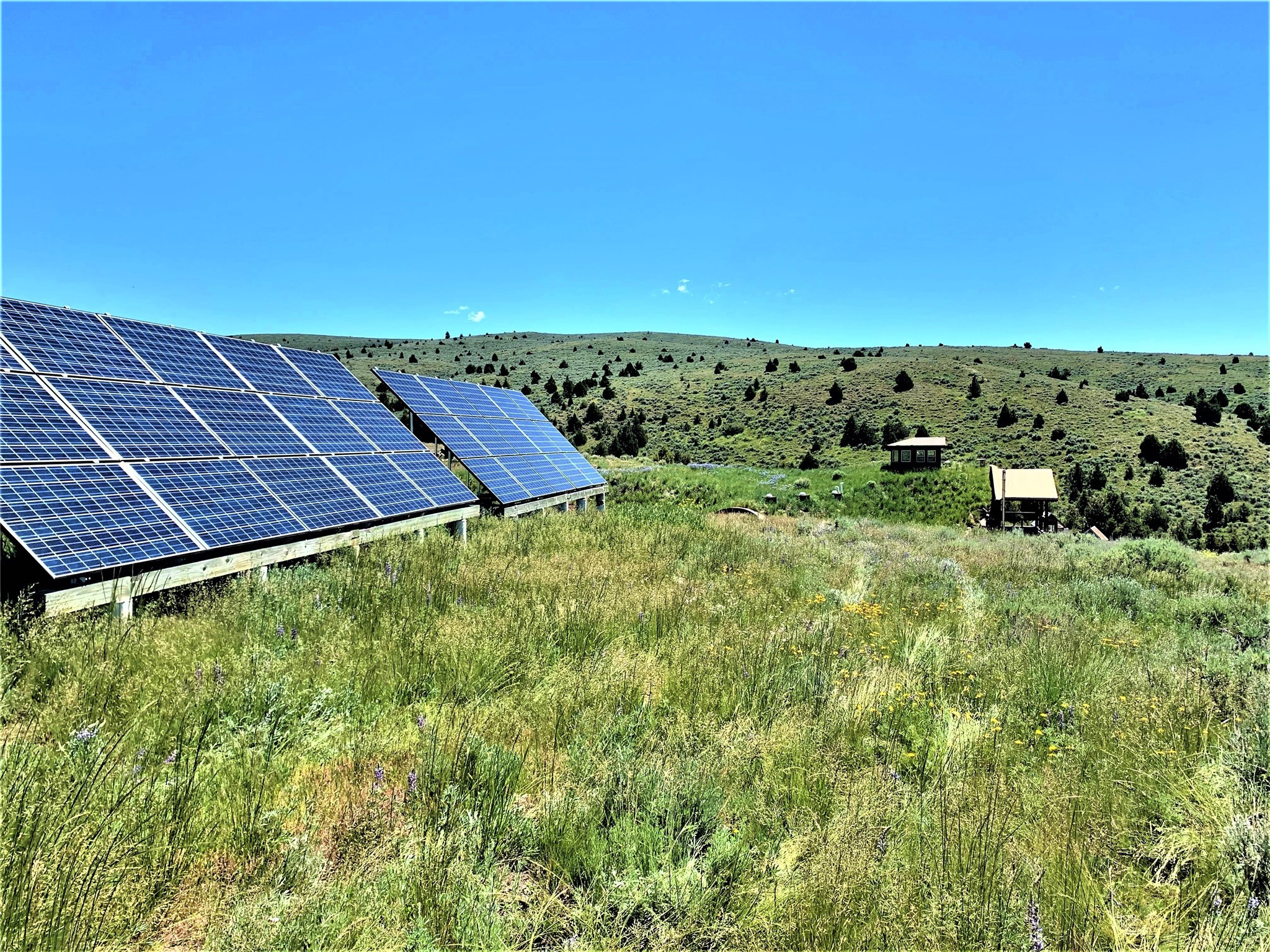 49 Lupine Lane Property Photo 33