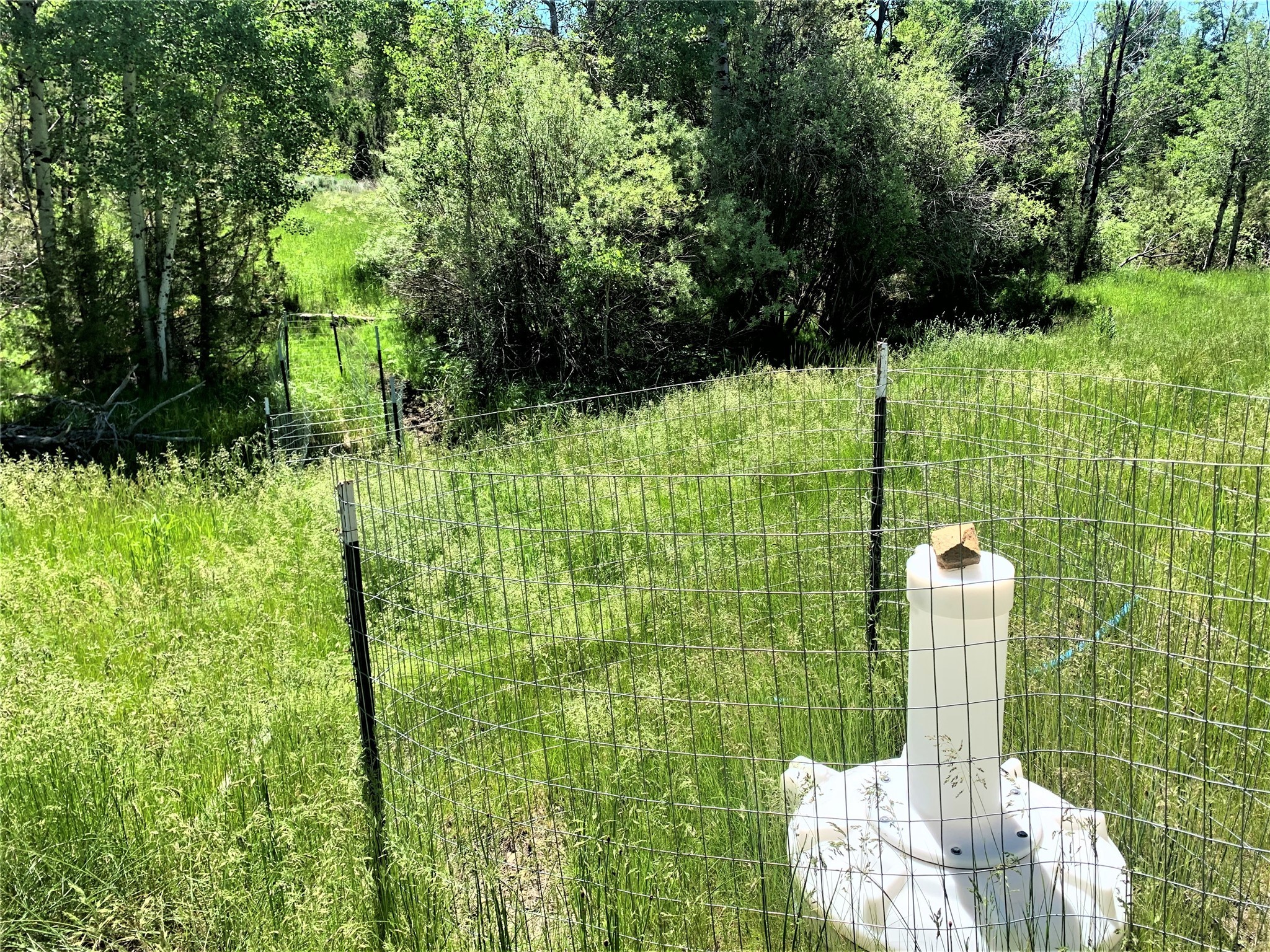 49 Lupine Lane Property Photo 37