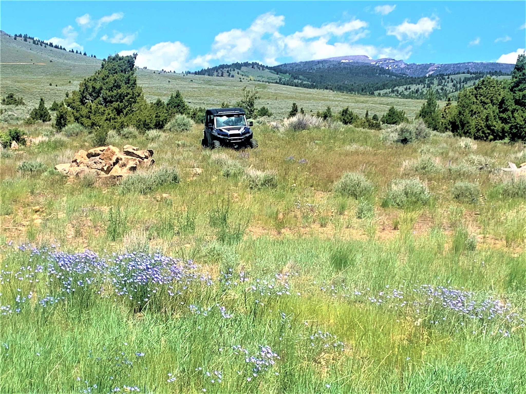 49 Lupine Lane Property Photo 38