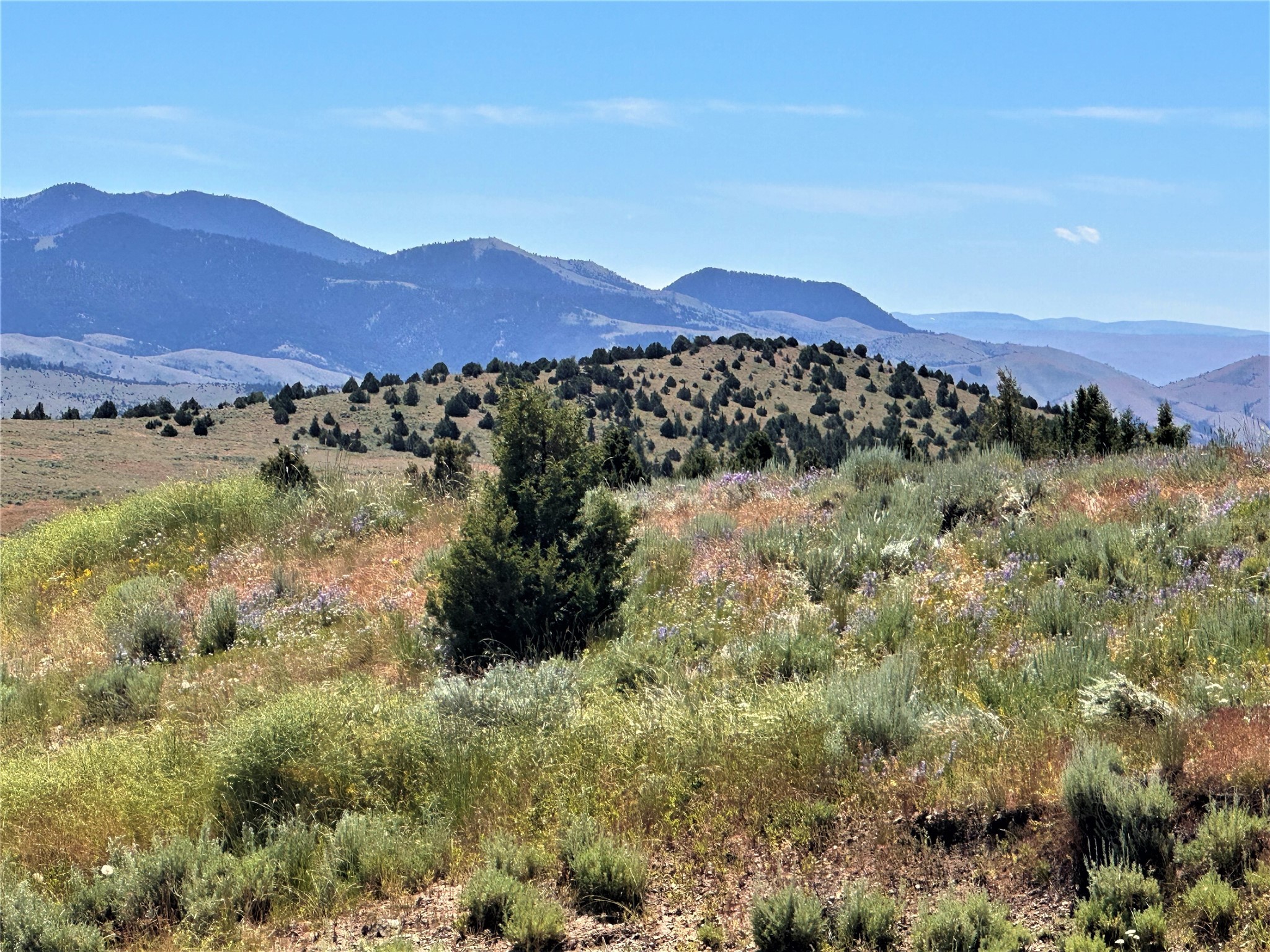 49 Lupine Lane Property Photo 40