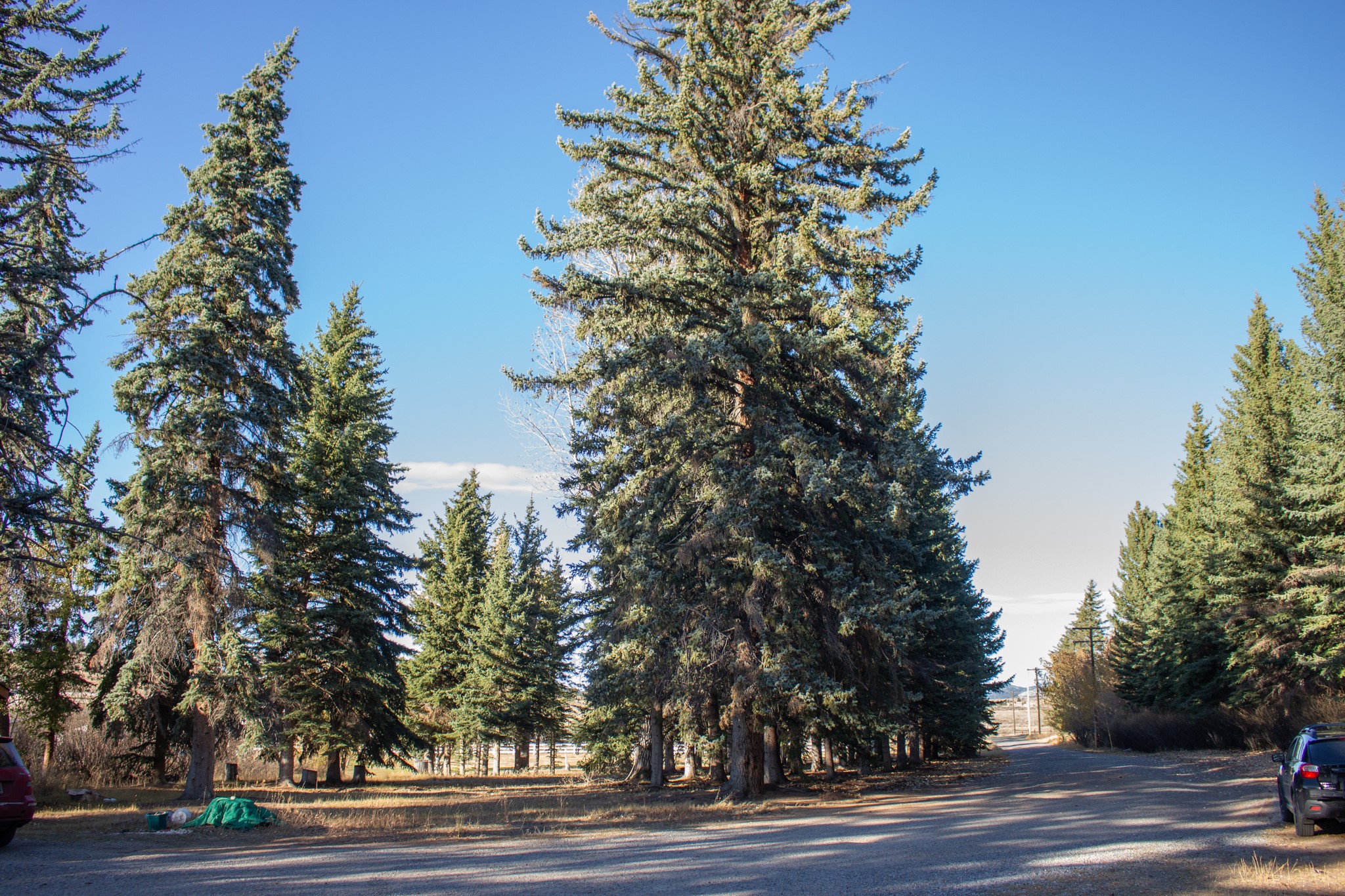 122122 Nissler Road Property Photo 10
