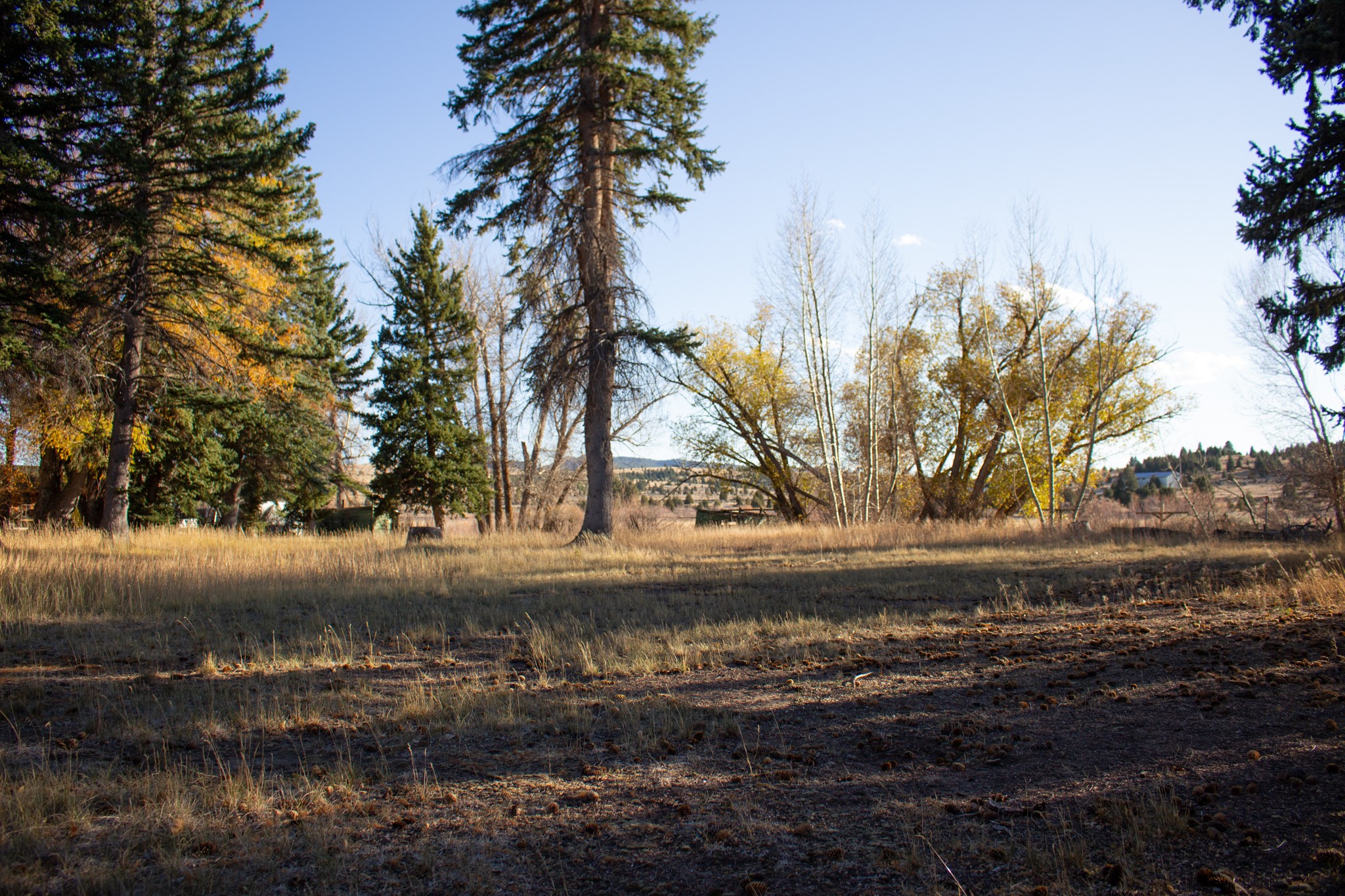 122122 Nissler Road Property Photo 22
