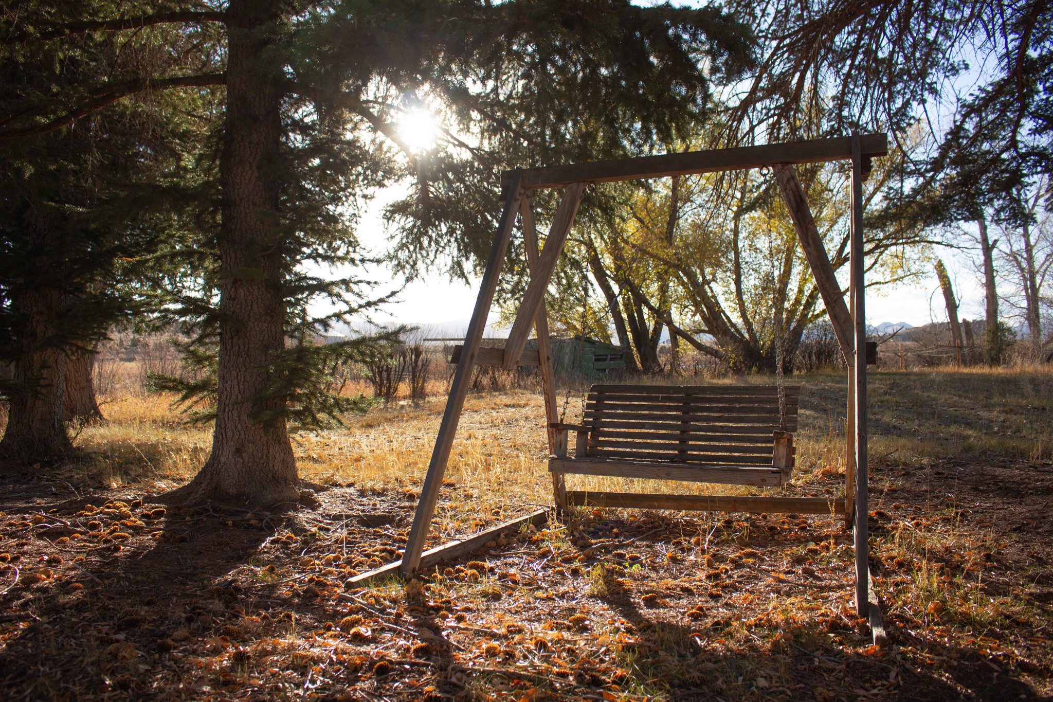 122122 Nissler Road Property Photo 23