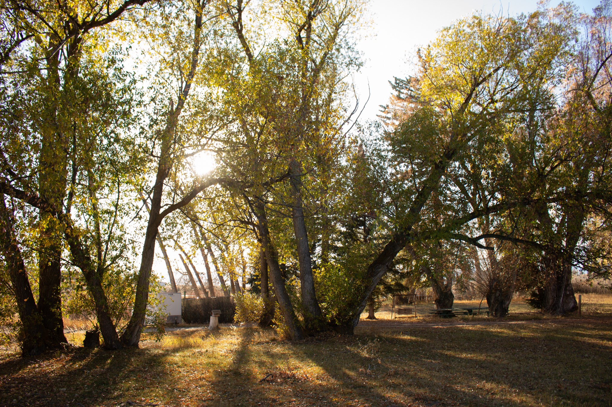 122122 Nissler Road Property Photo 27