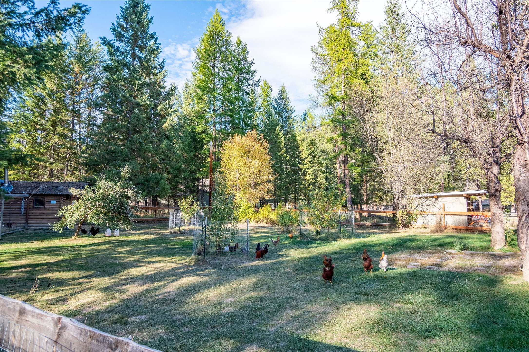 599 Reserve Road Property Photo 15