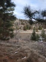 Tbd Bear Gulch Road Property Photo 1