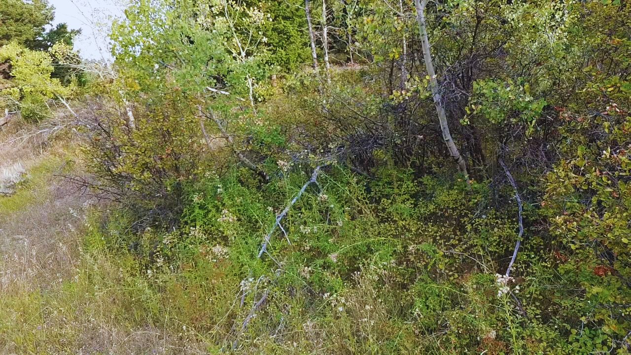 Nhn Chestnut Road Property Photo 10