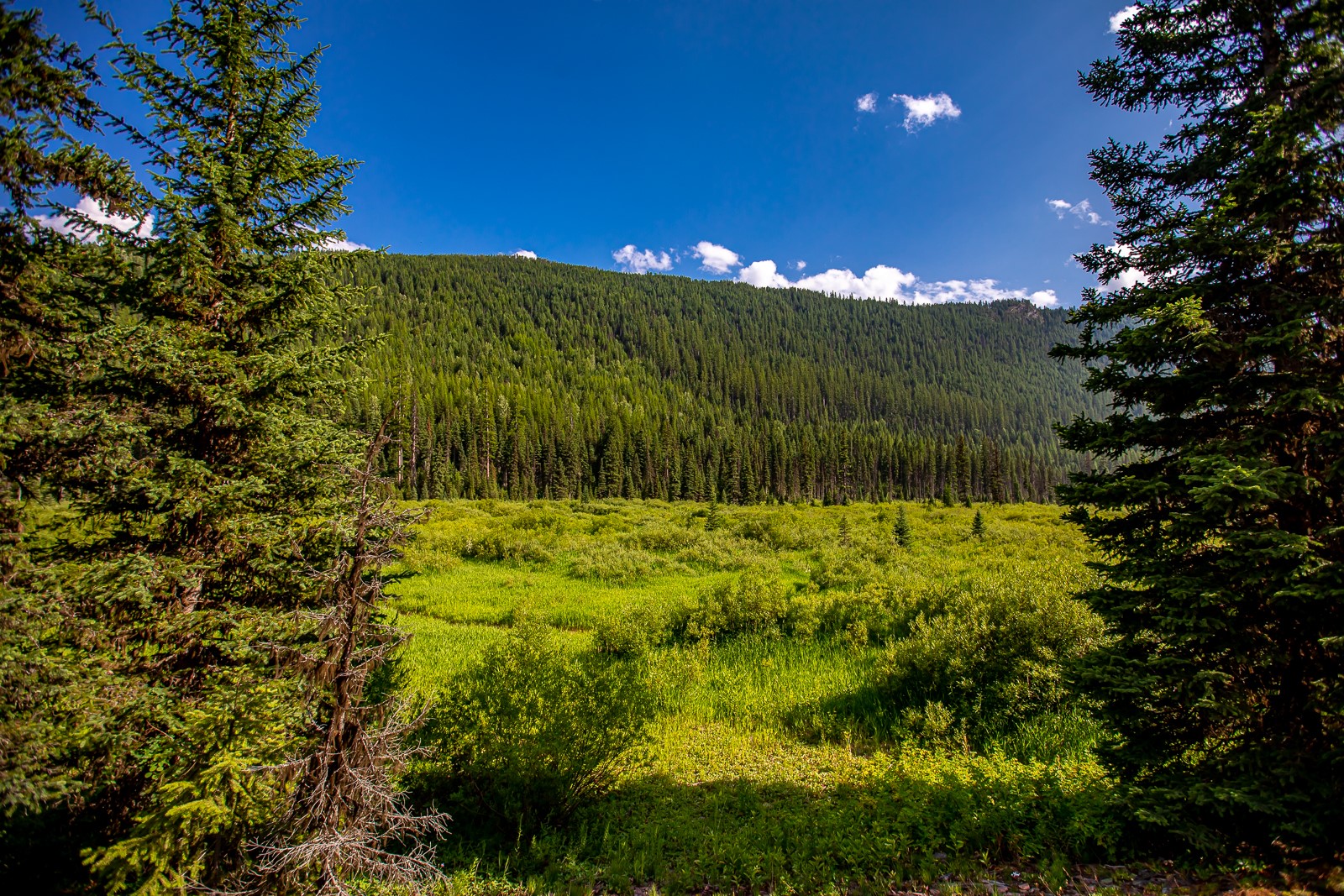 14265 Us Highway 2 E Property Photo 9