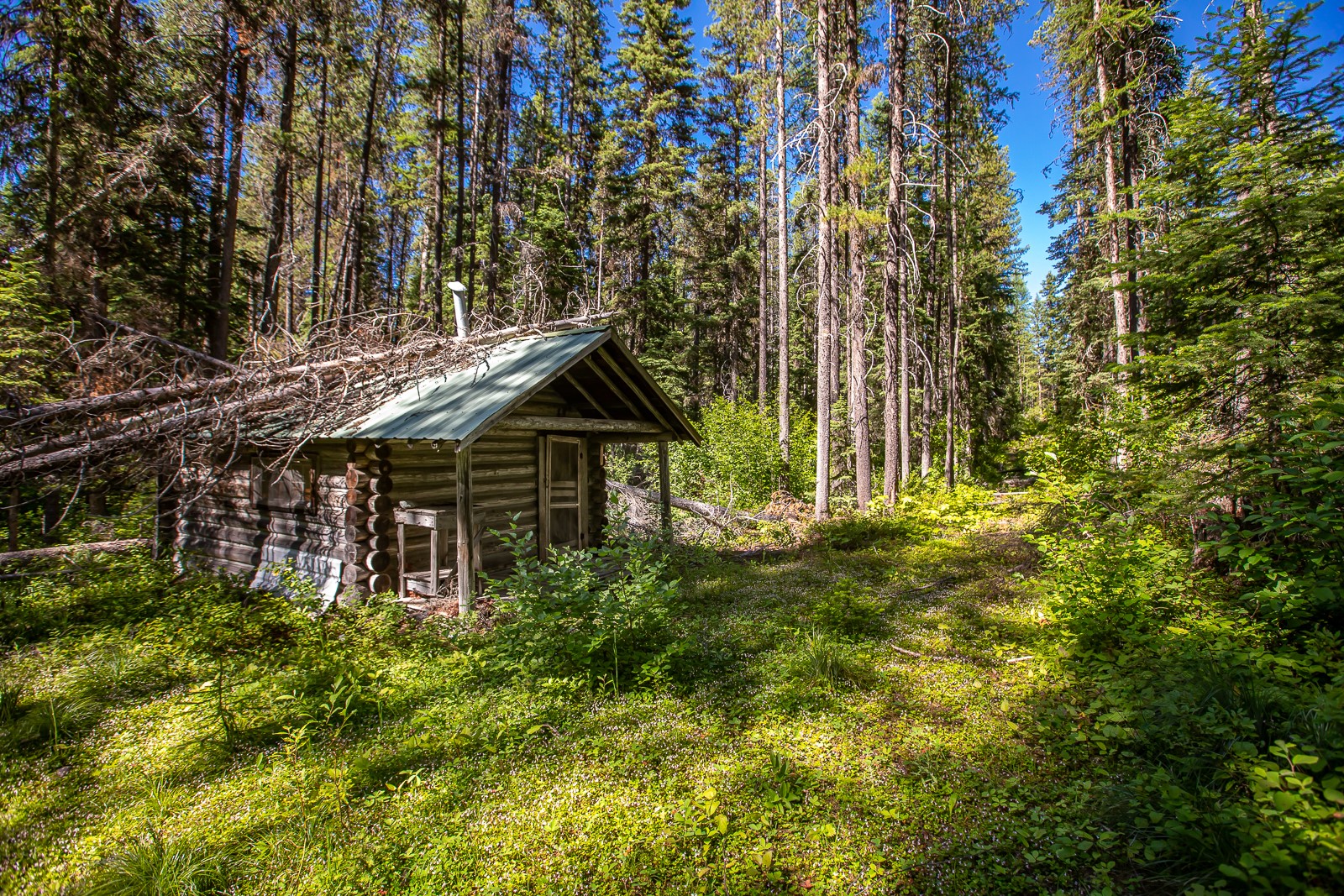 14265 Us Highway 2 E Property Photo 37