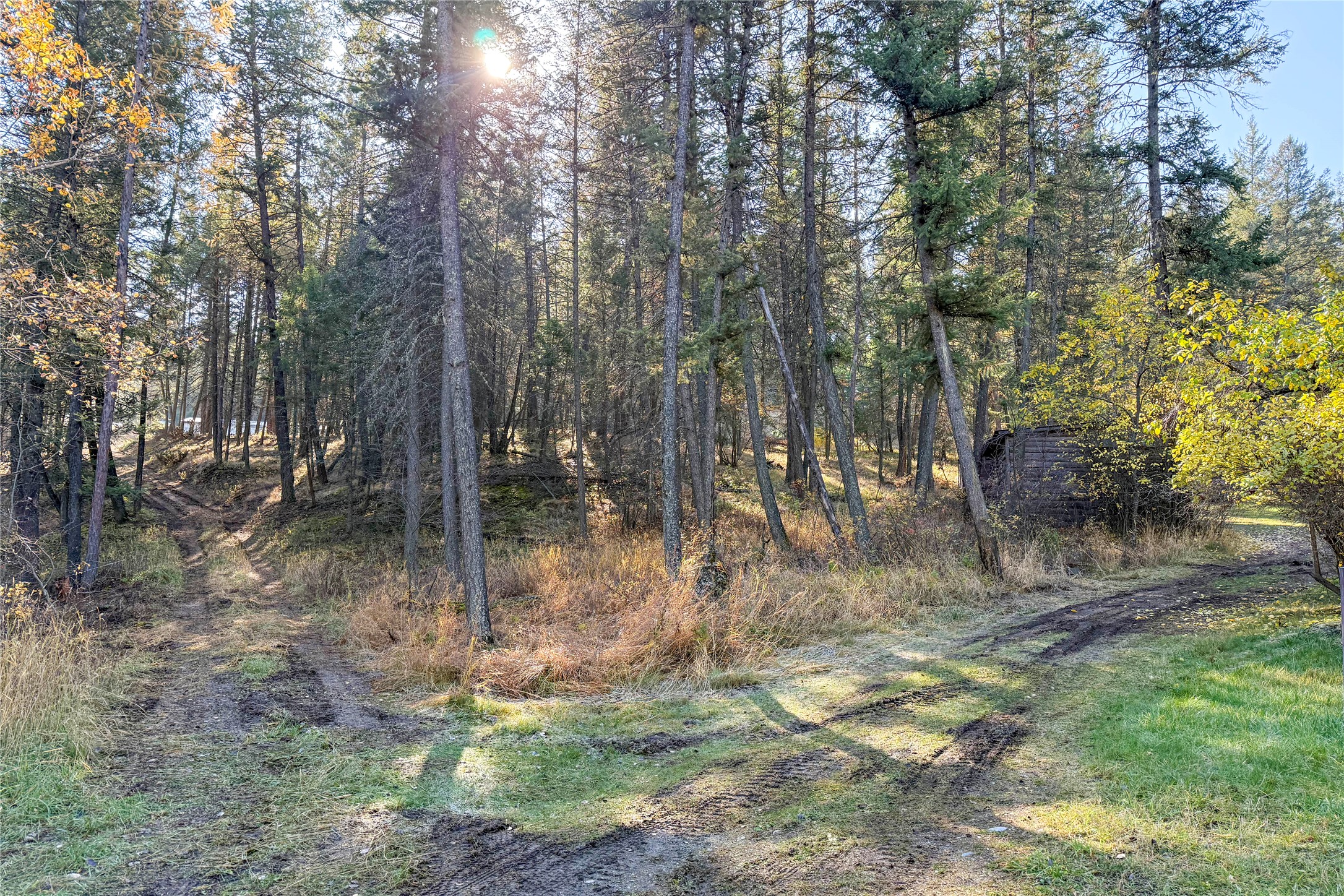 782 Othorp Lake Road Property Photo 19