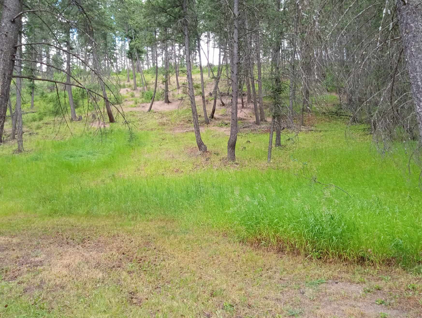 782 Othorp Lake Road Property Photo 20