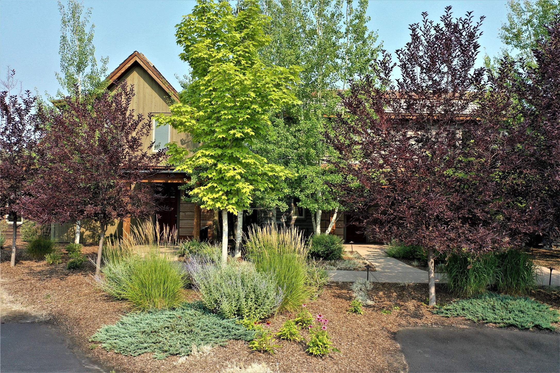 63 Rusty Iron Way Property Photo 1