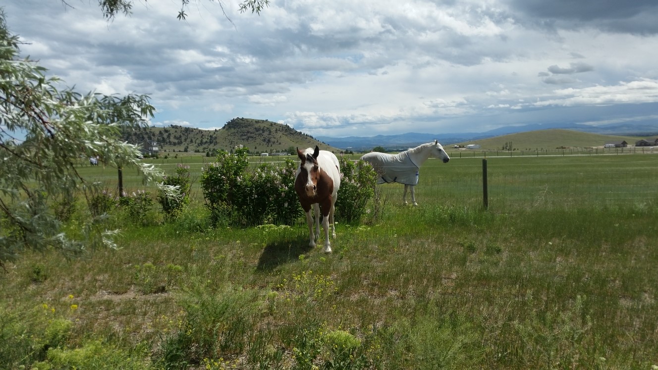 560 Franklin Mine Road Property Photo 2