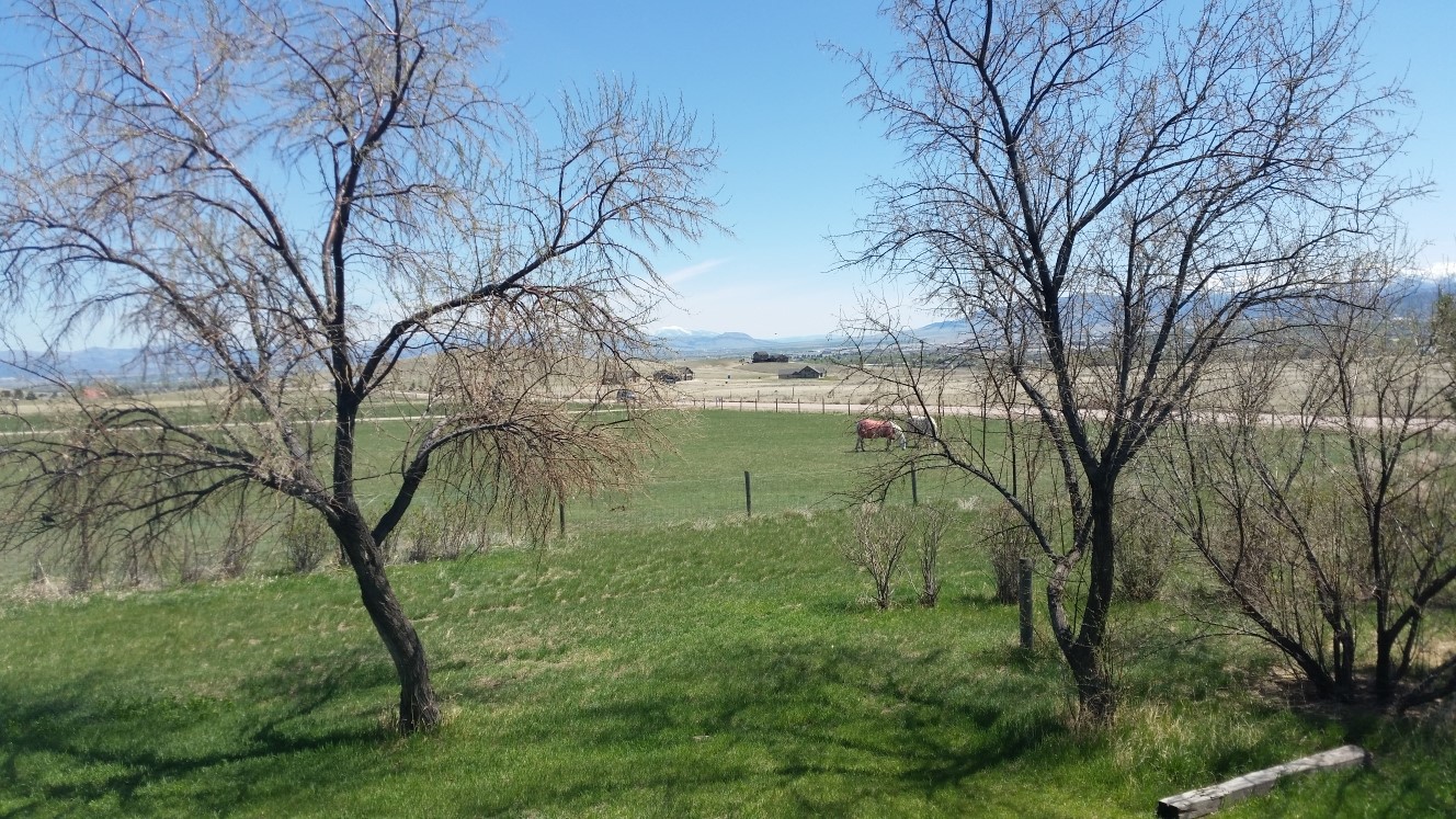 560 Franklin Mine Road Property Photo 3