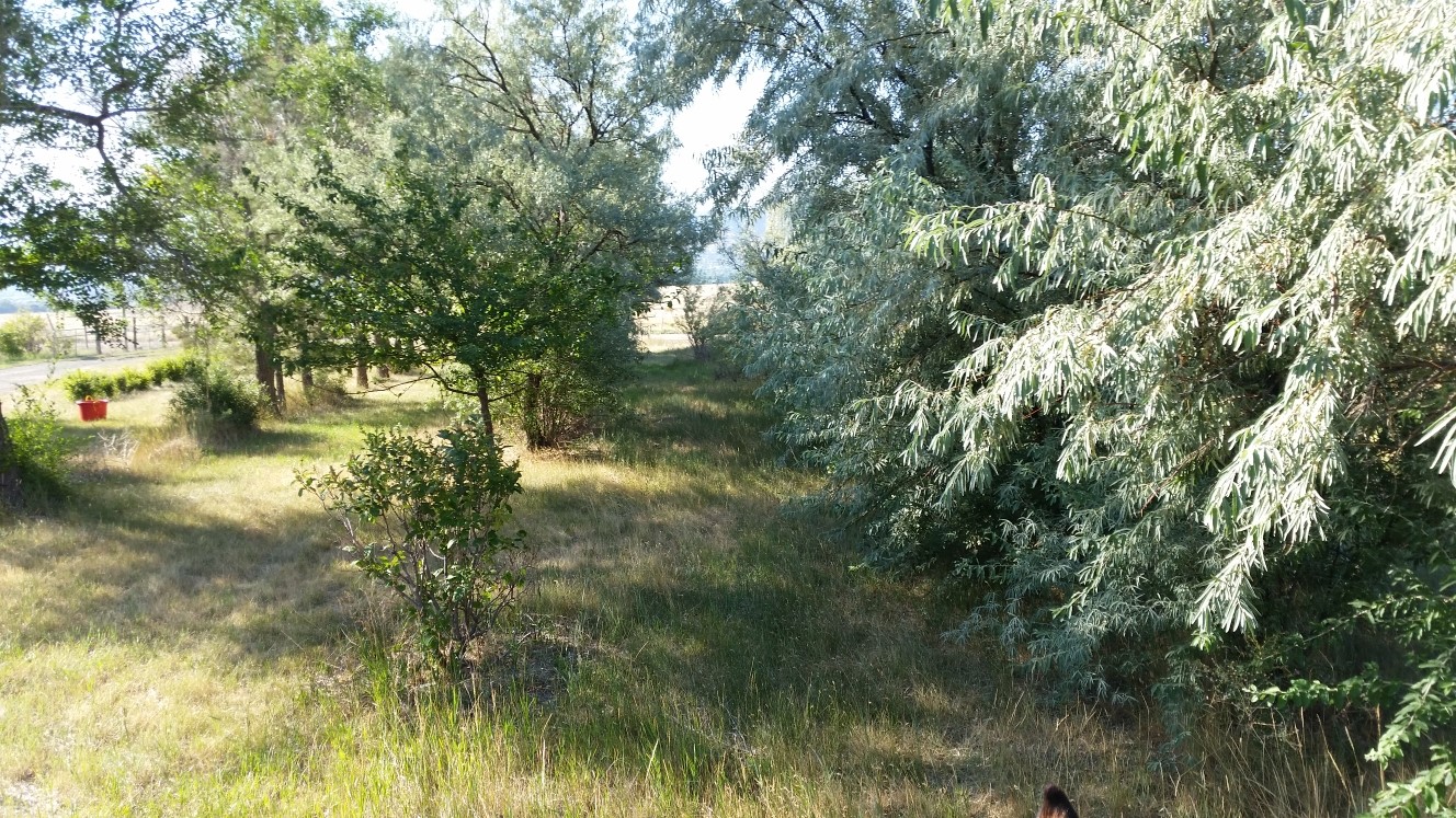 560 Franklin Mine Road Property Photo 4