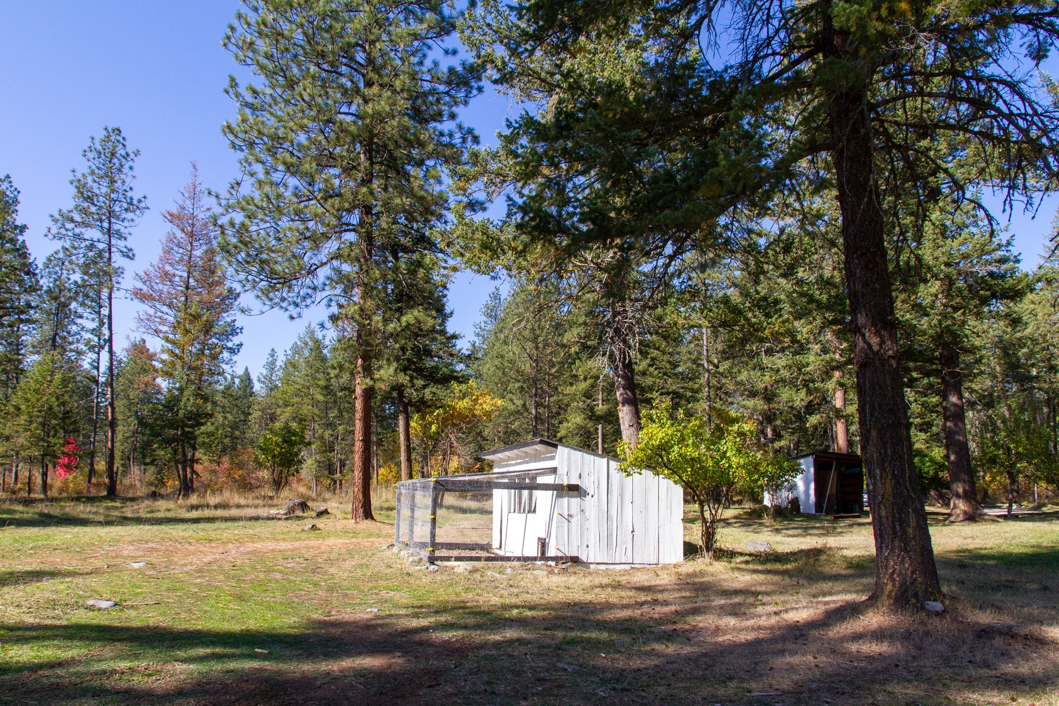 44632 Singing Creek Lane Property Photo 46