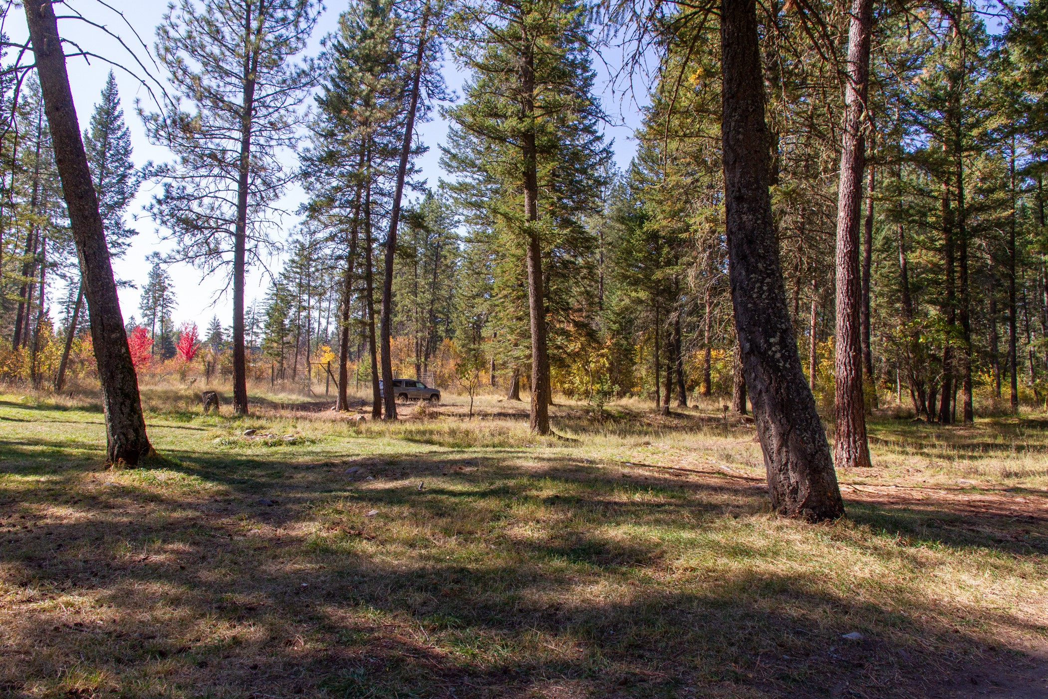 44632 Singing Creek Lane Property Photo 58