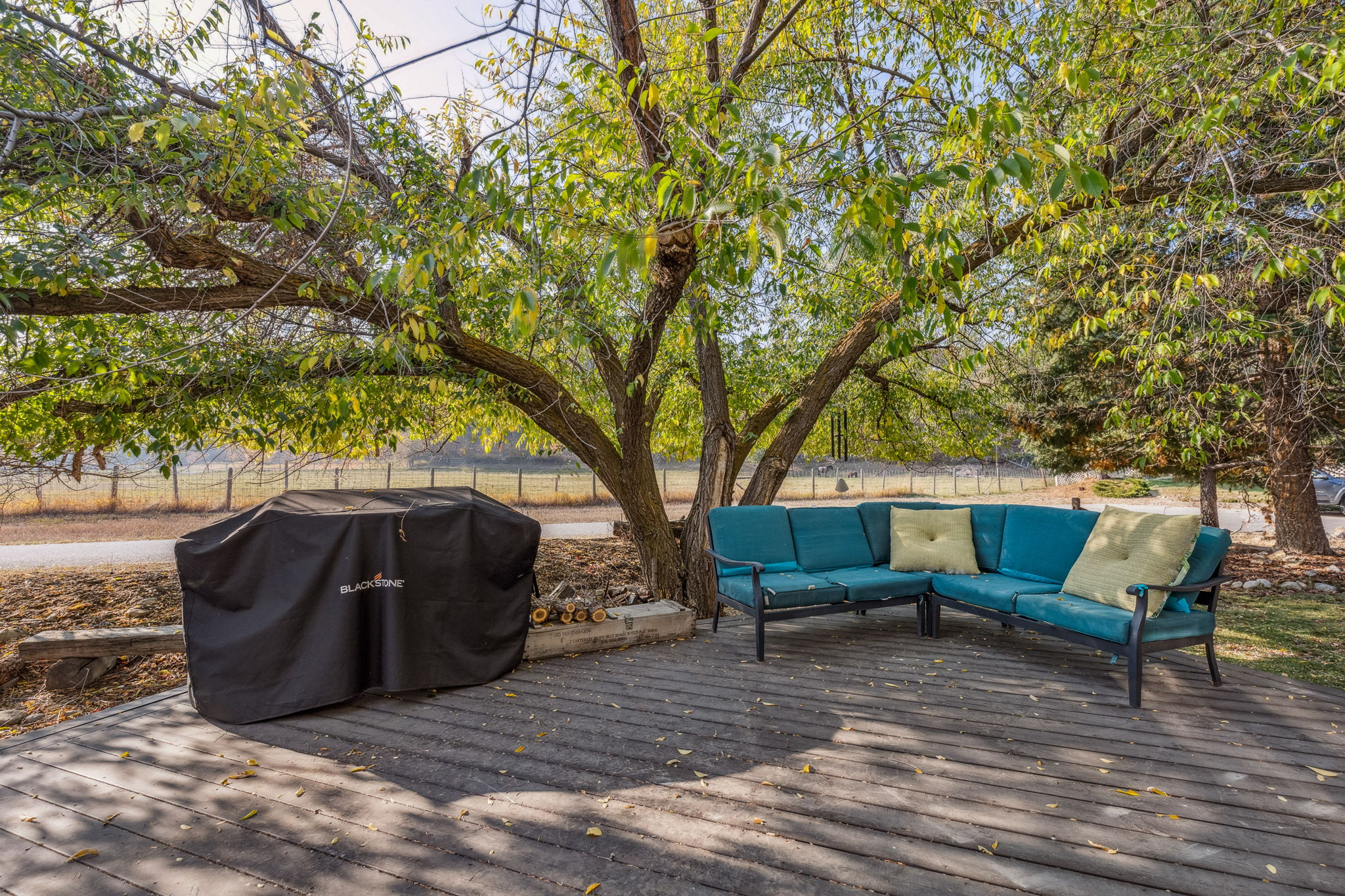 112 S Violet Street Property Photo 40