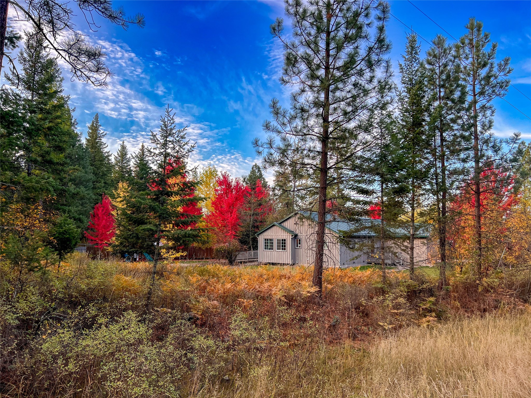 33865 Canyon Mill Road Property Photo 10