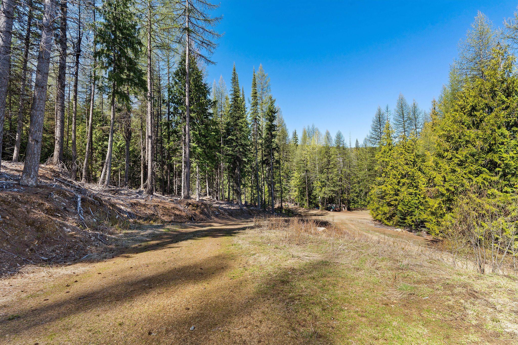 1089 Cedar Hills Road Property Photo 11