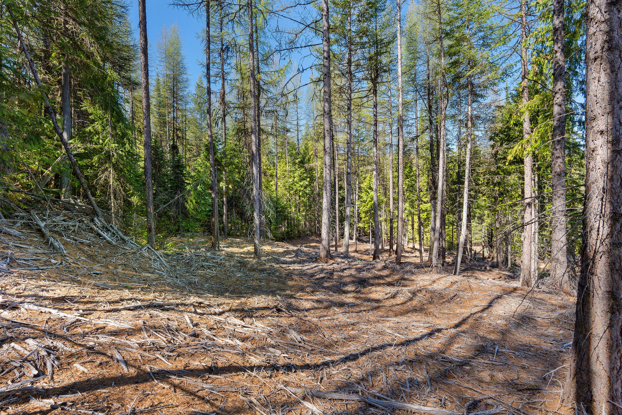 1089 Cedar Hills Road Property Photo 12