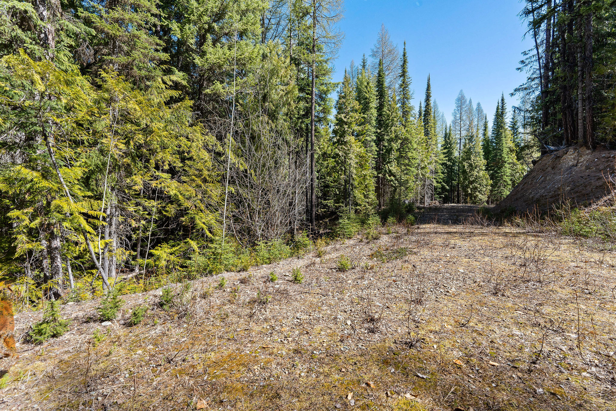 1089 Cedar Hills Road Property Photo 18