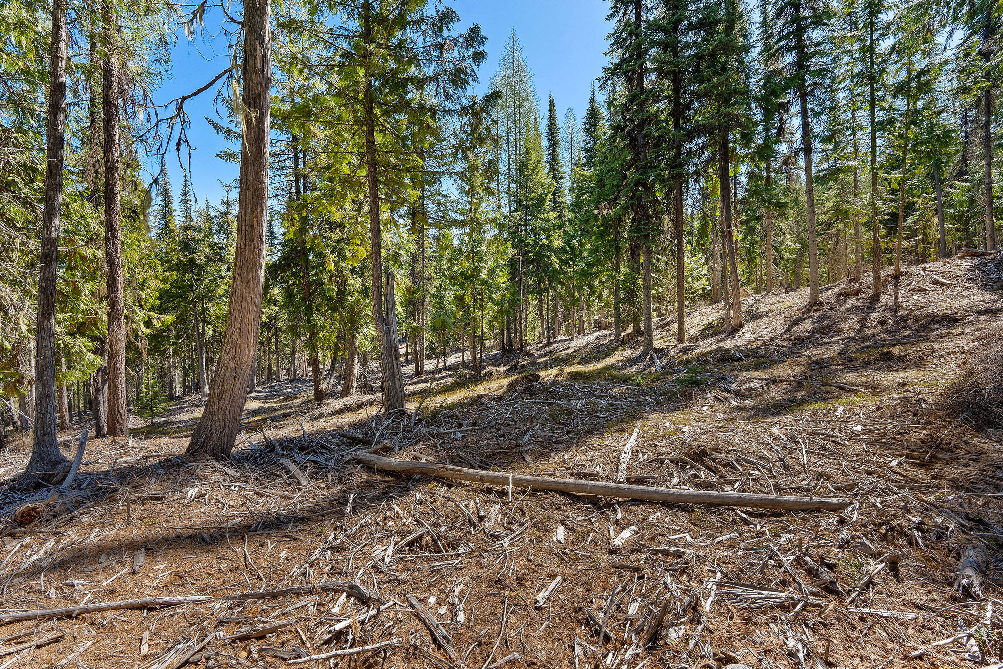 1089 Cedar Hills Road Property Photo 24