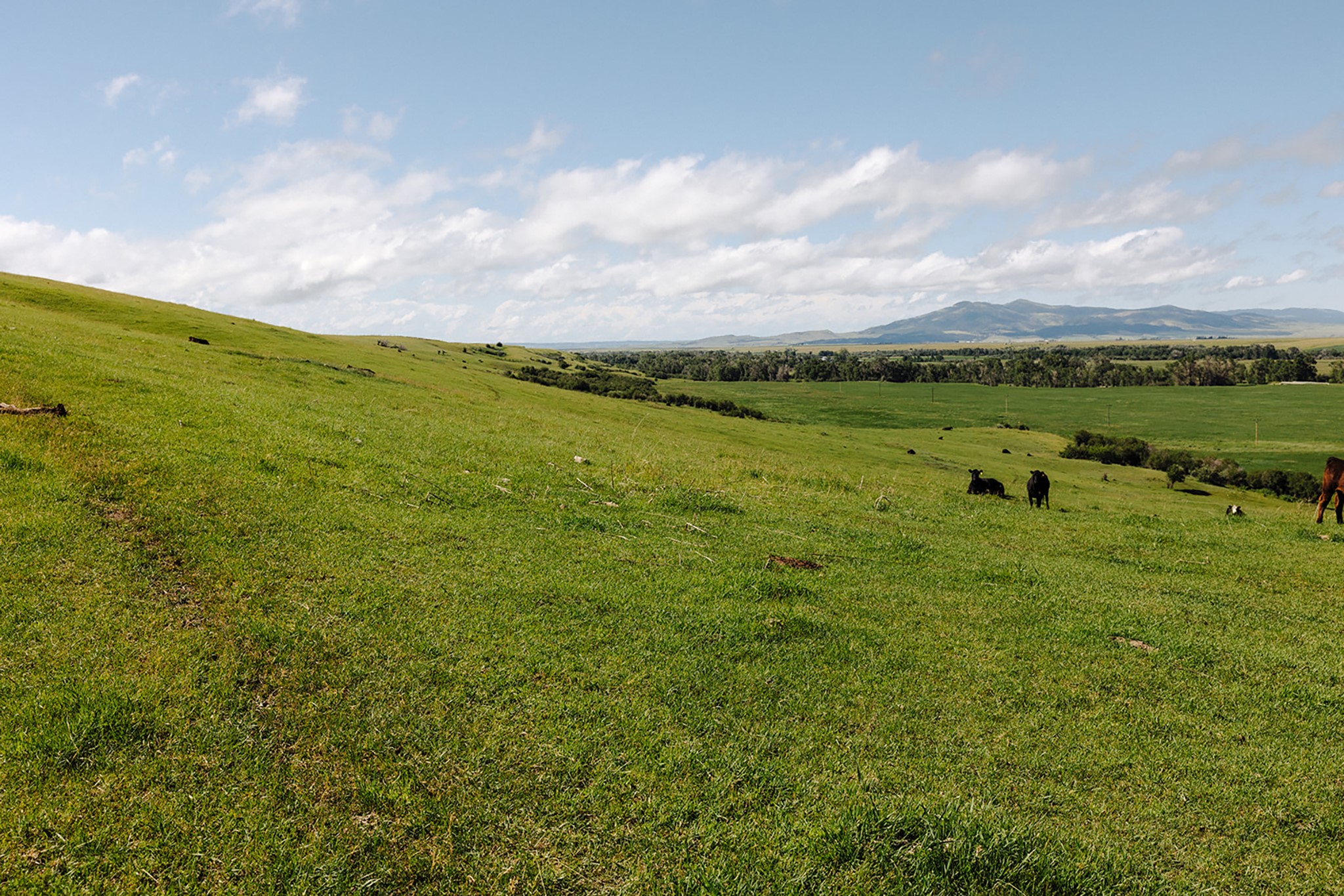 6058 Cottonwood Creek Road Property Photo 4