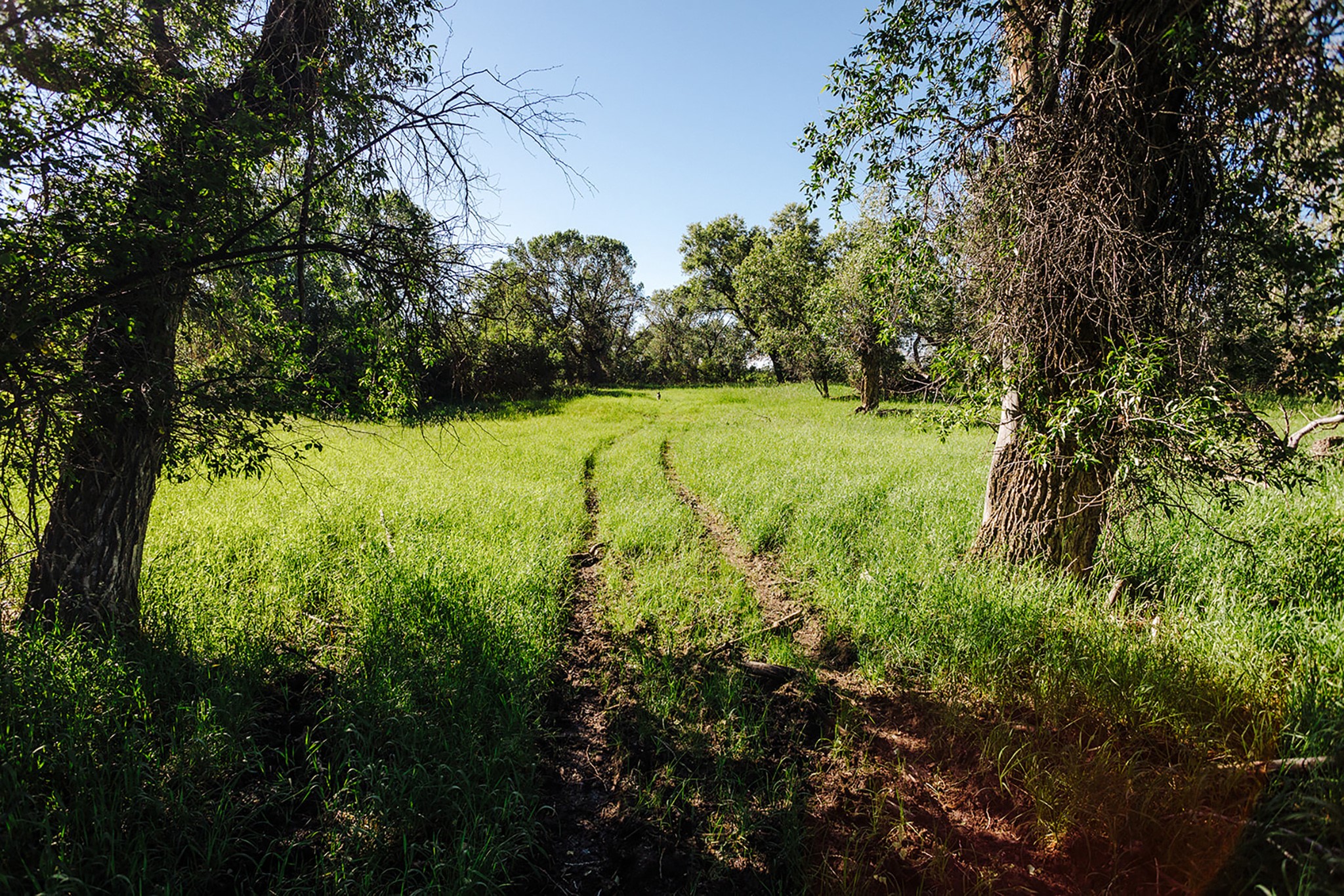 6058 Cottonwood Creek Road Property Photo 30