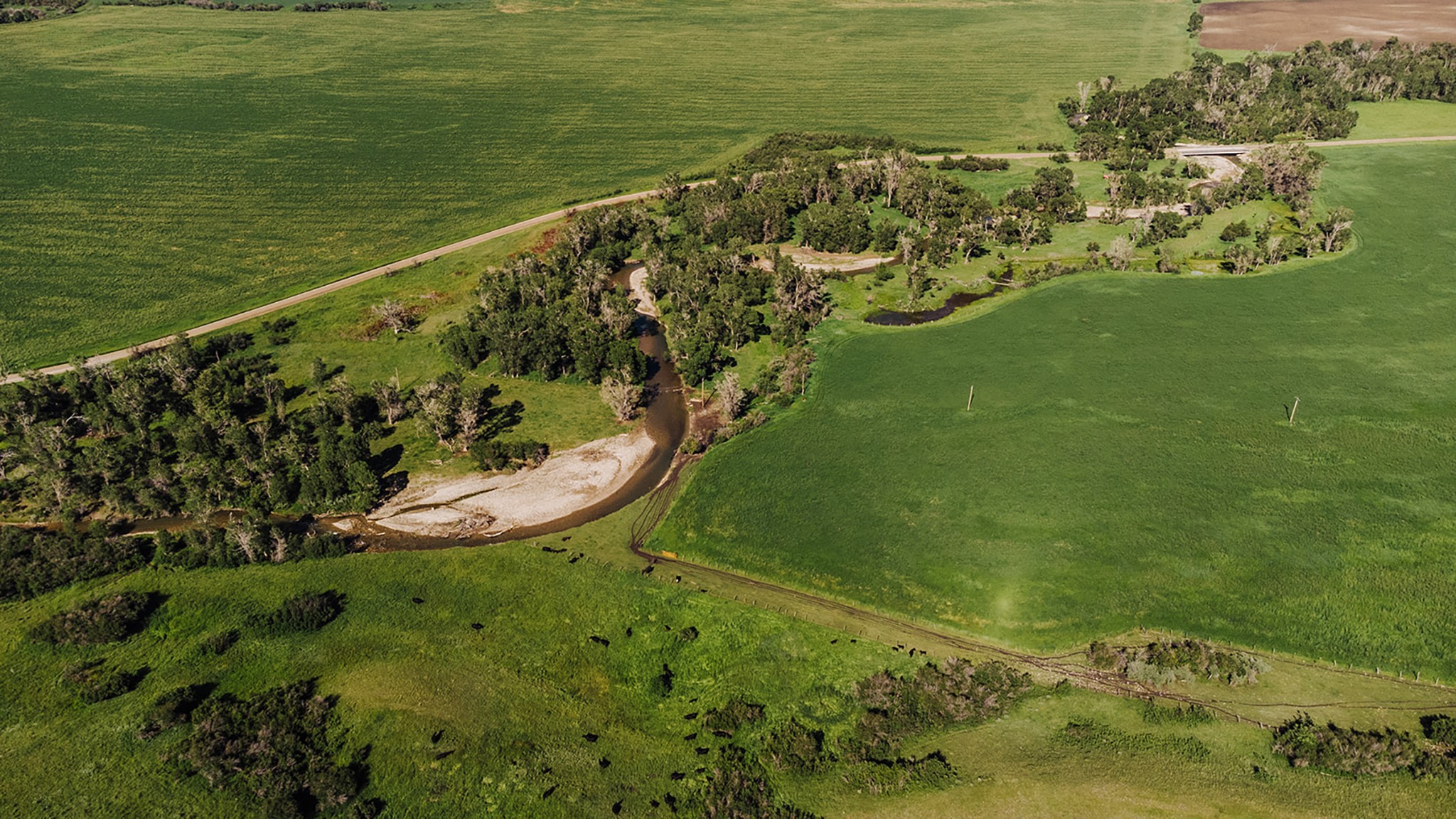 6058 Cottonwood Creek Road Property Photo 48
