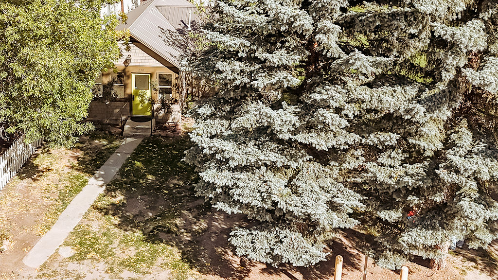 270 Wolf Creek Main Street Property Photo 35