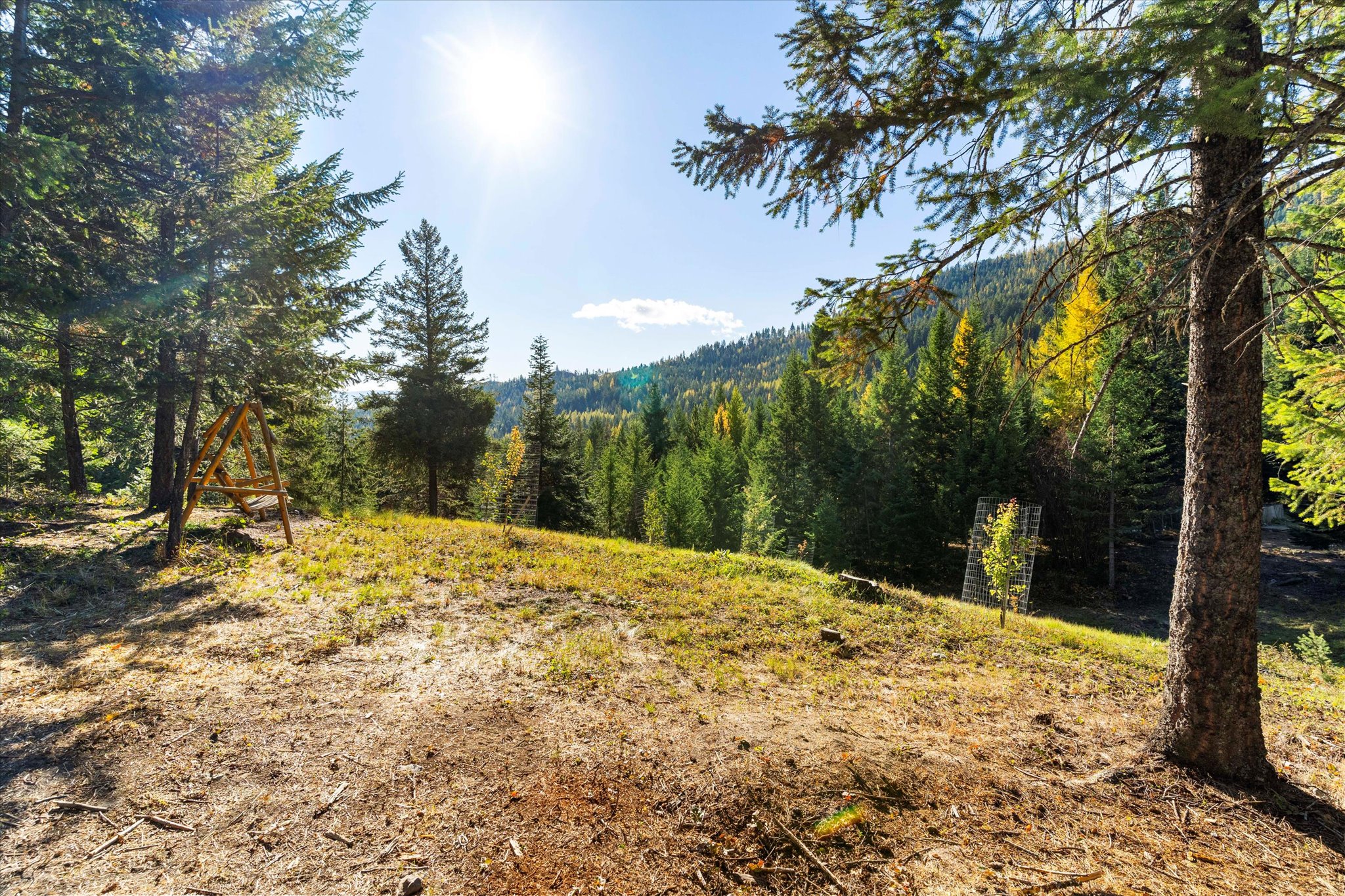 1424 Bierney Creek Road Property Photo 34