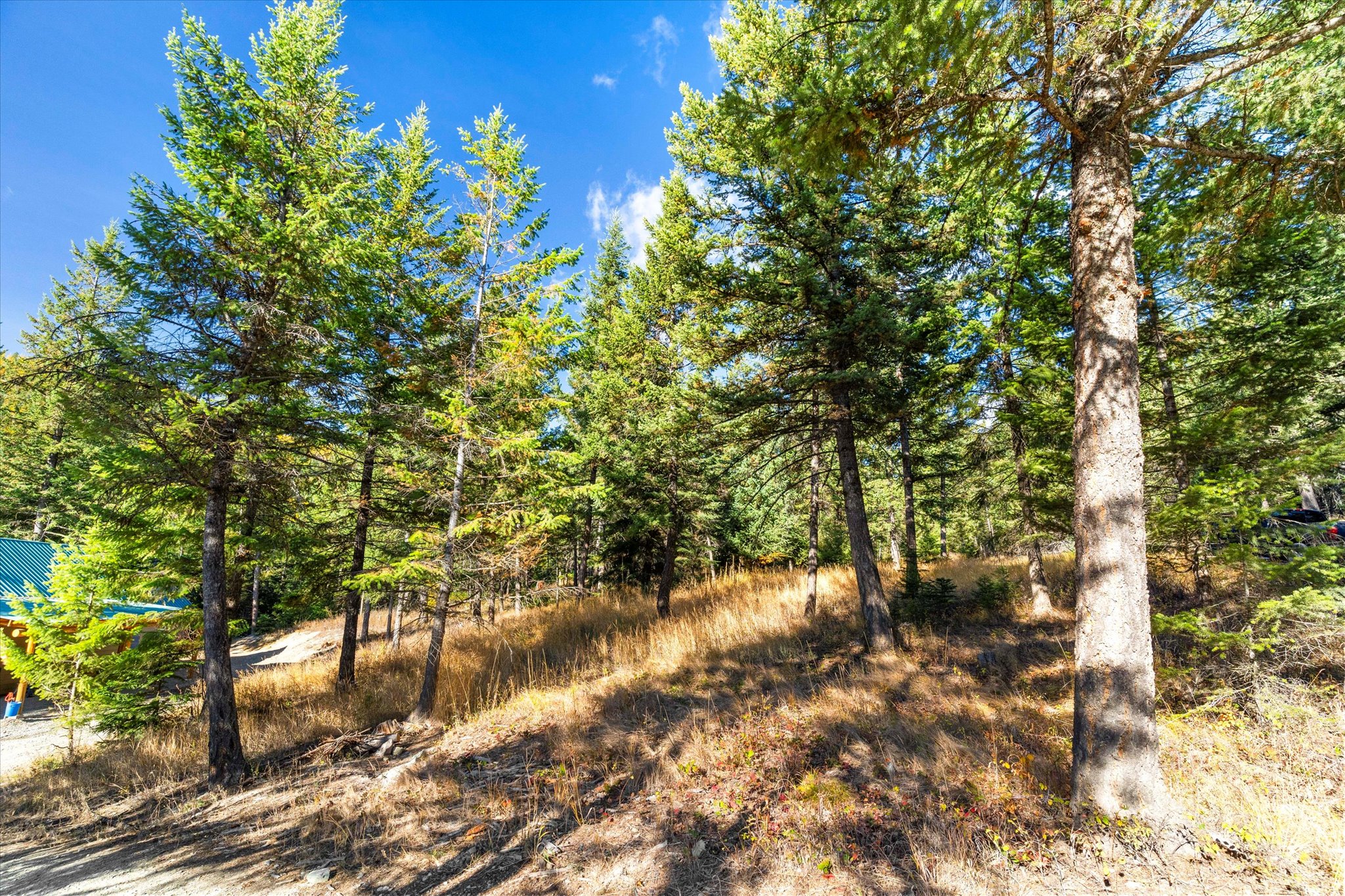 1424 Bierney Creek Road Property Photo 35