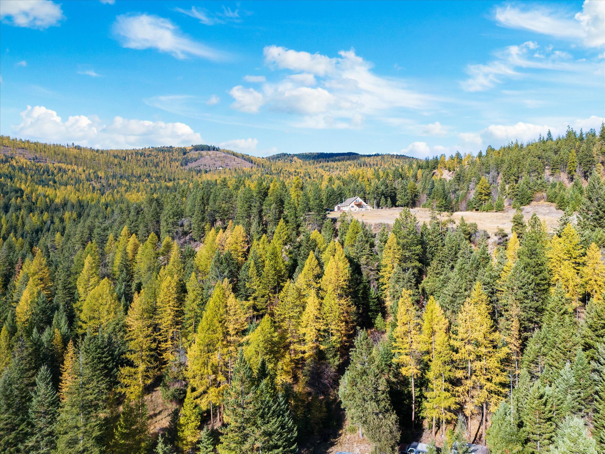 1424 Bierney Creek Road Property Photo 60