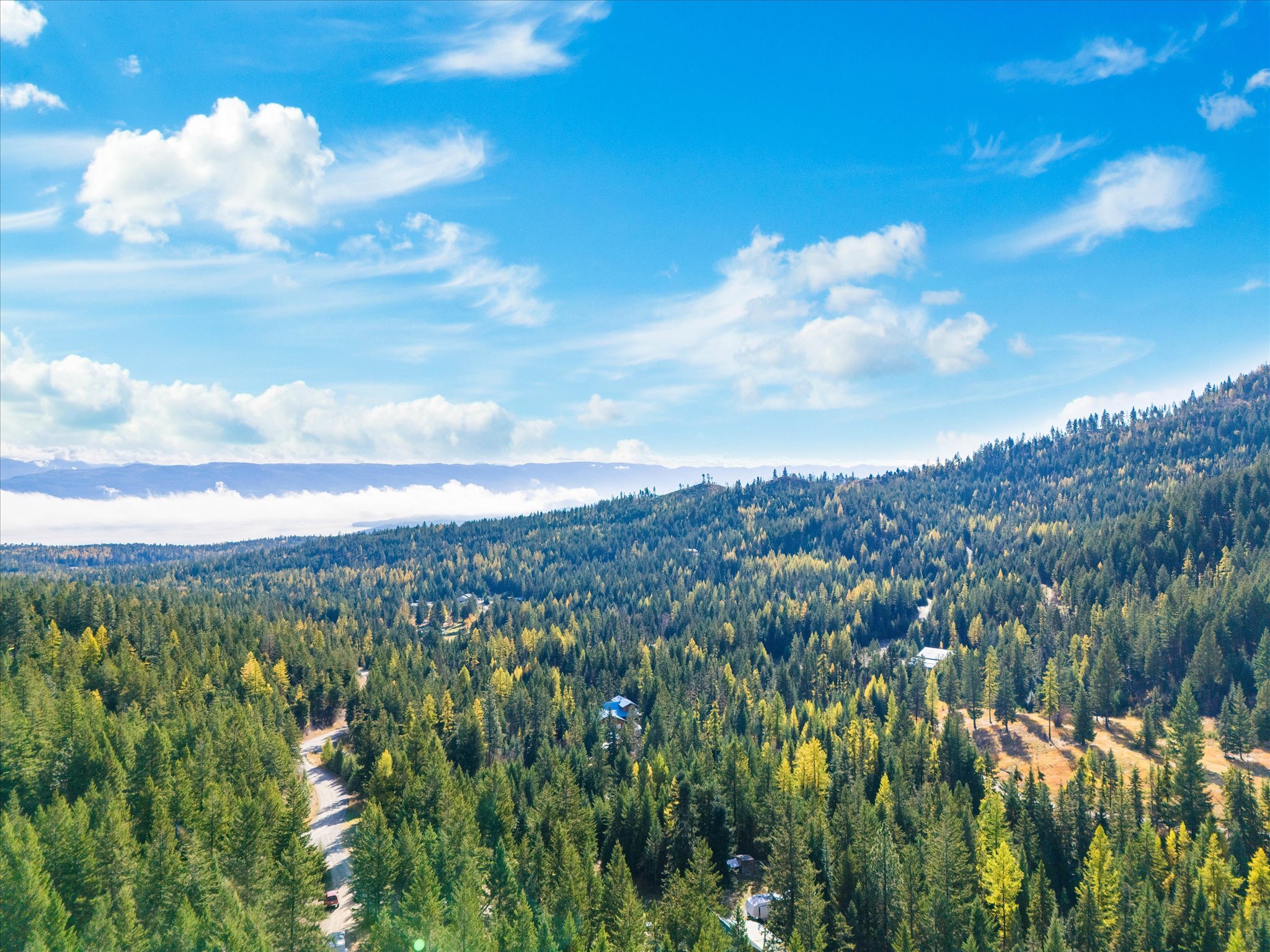 1424 Bierney Creek Road Property Photo 61