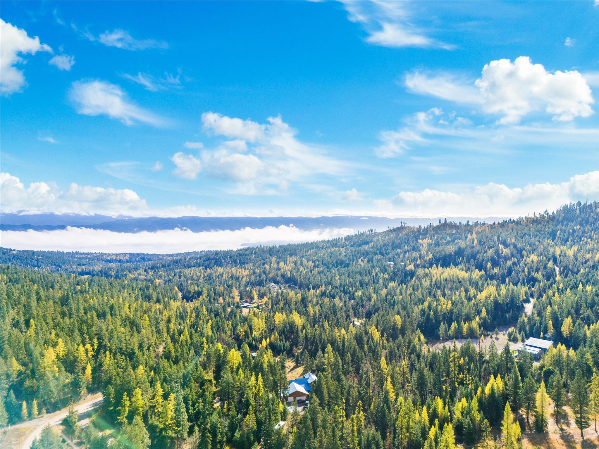 1424 Bierney Creek Road Property Photo 62