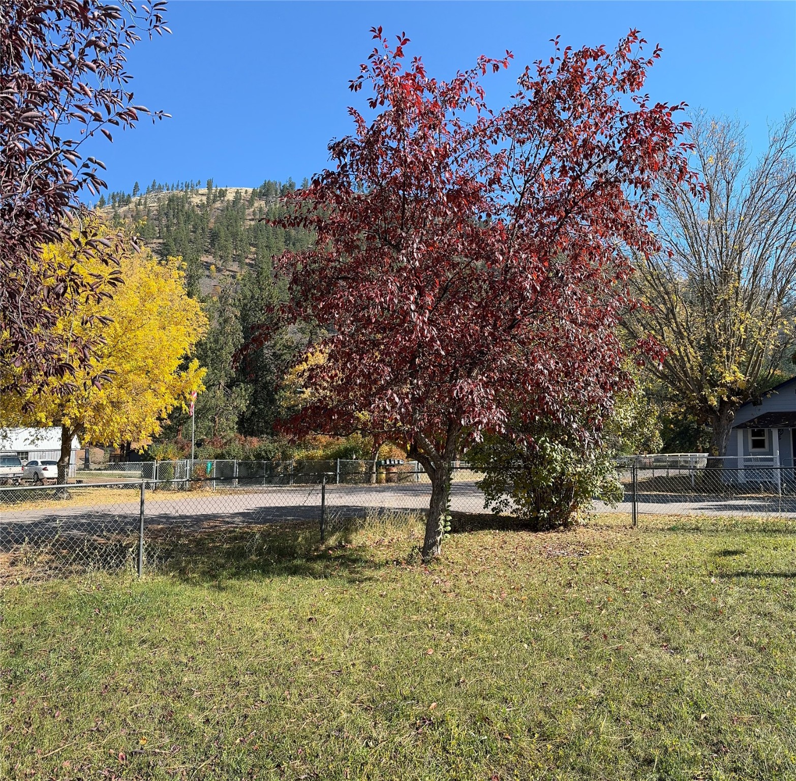 965 5th Street Property Photo 10