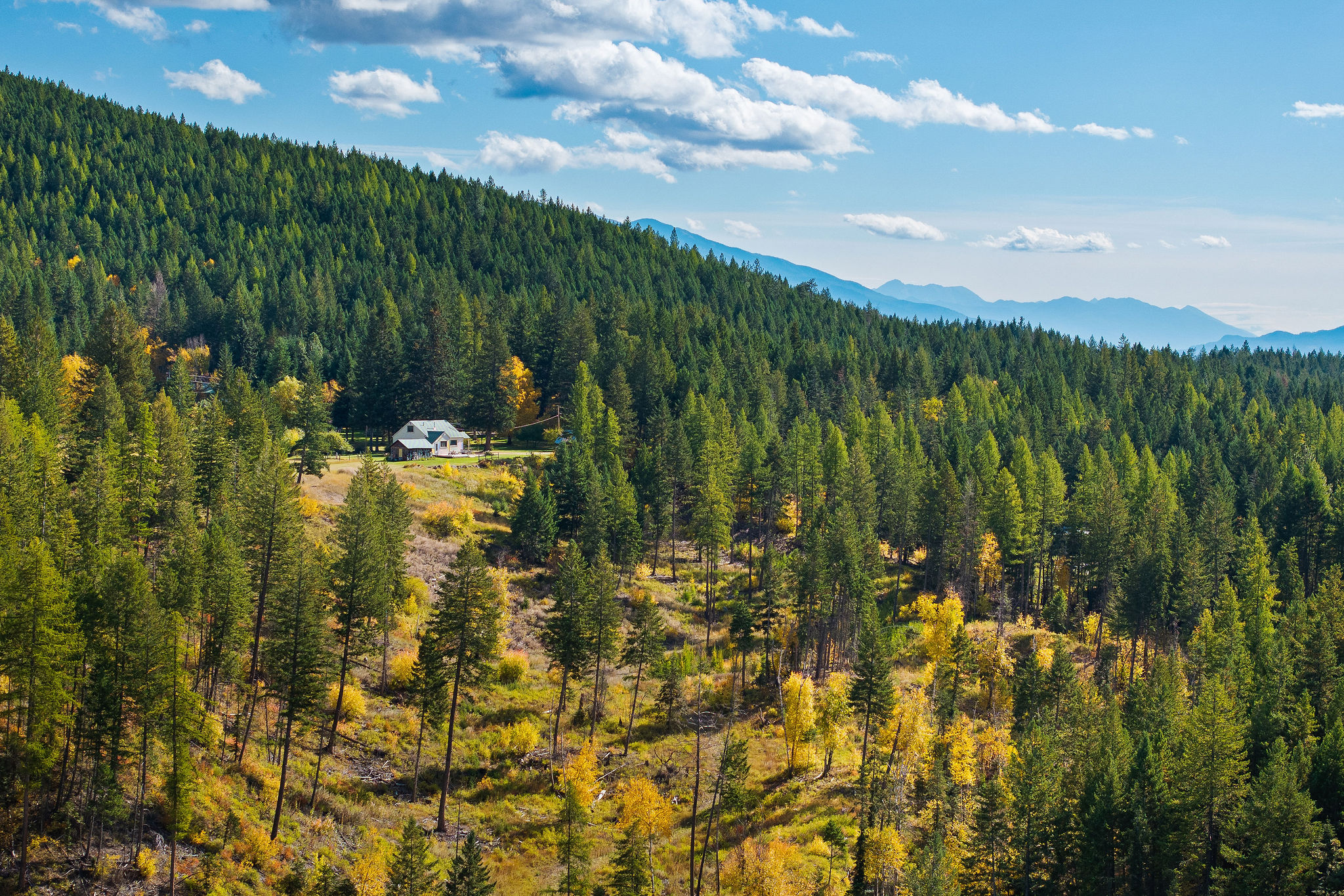 95 And 97 Browns Gulch Road Property Photo 6