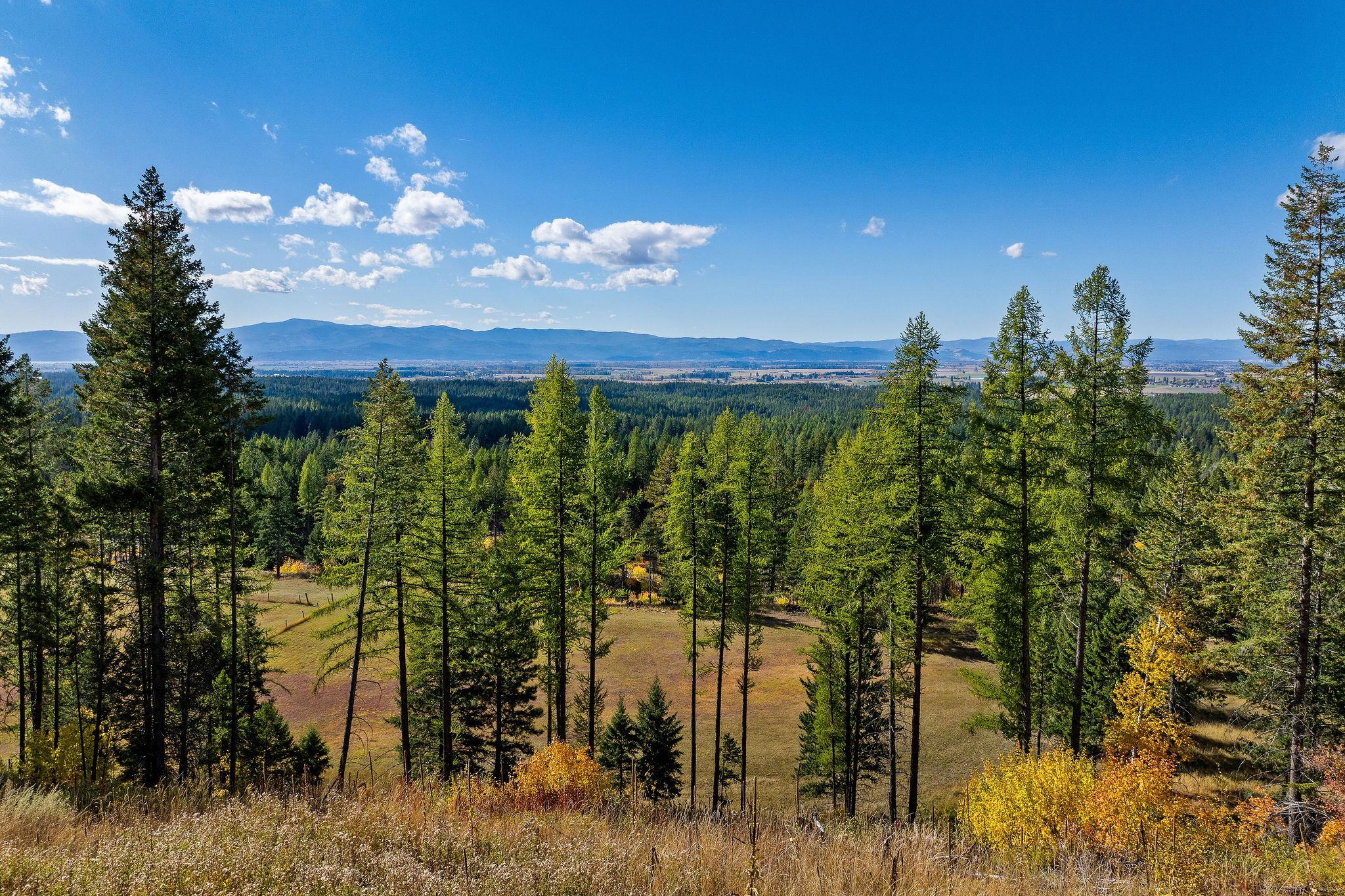 95 And 97 Browns Gulch Road Property Photo 8