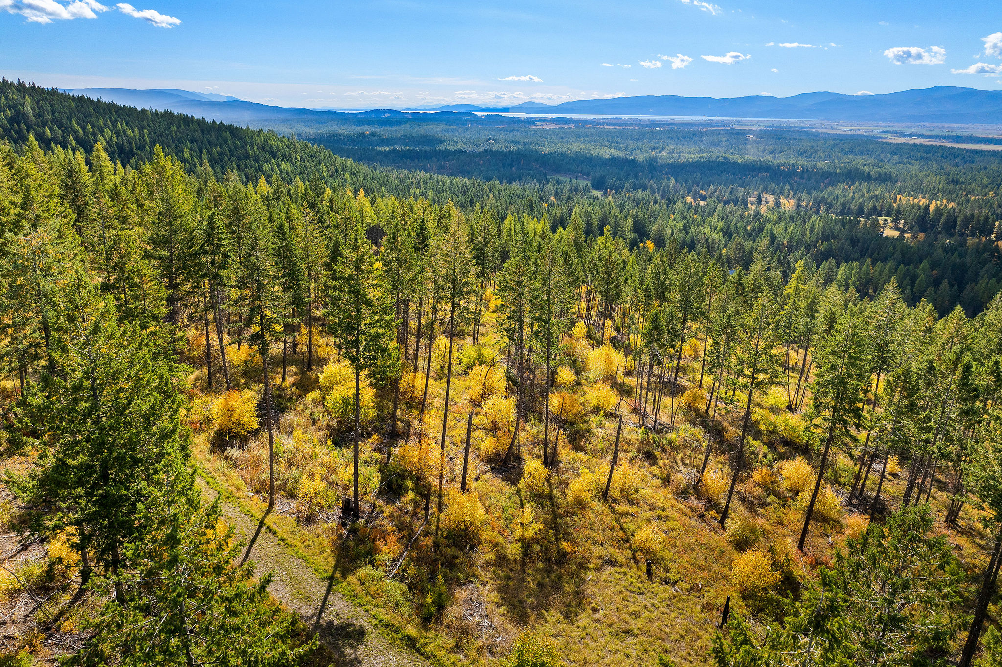 95 And 97 Browns Gulch Road Property Photo 12