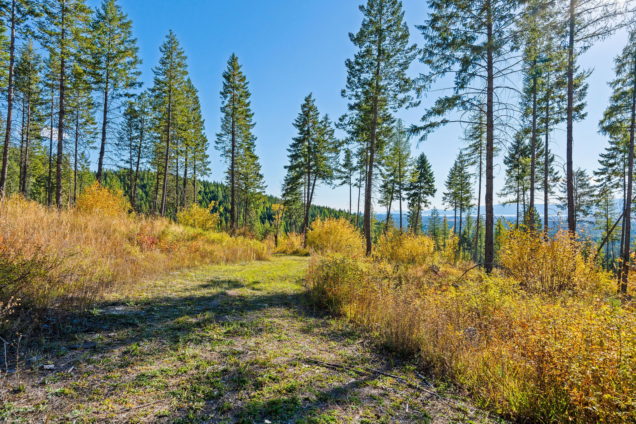 95 And 97 Browns Gulch Road Property Photo 14