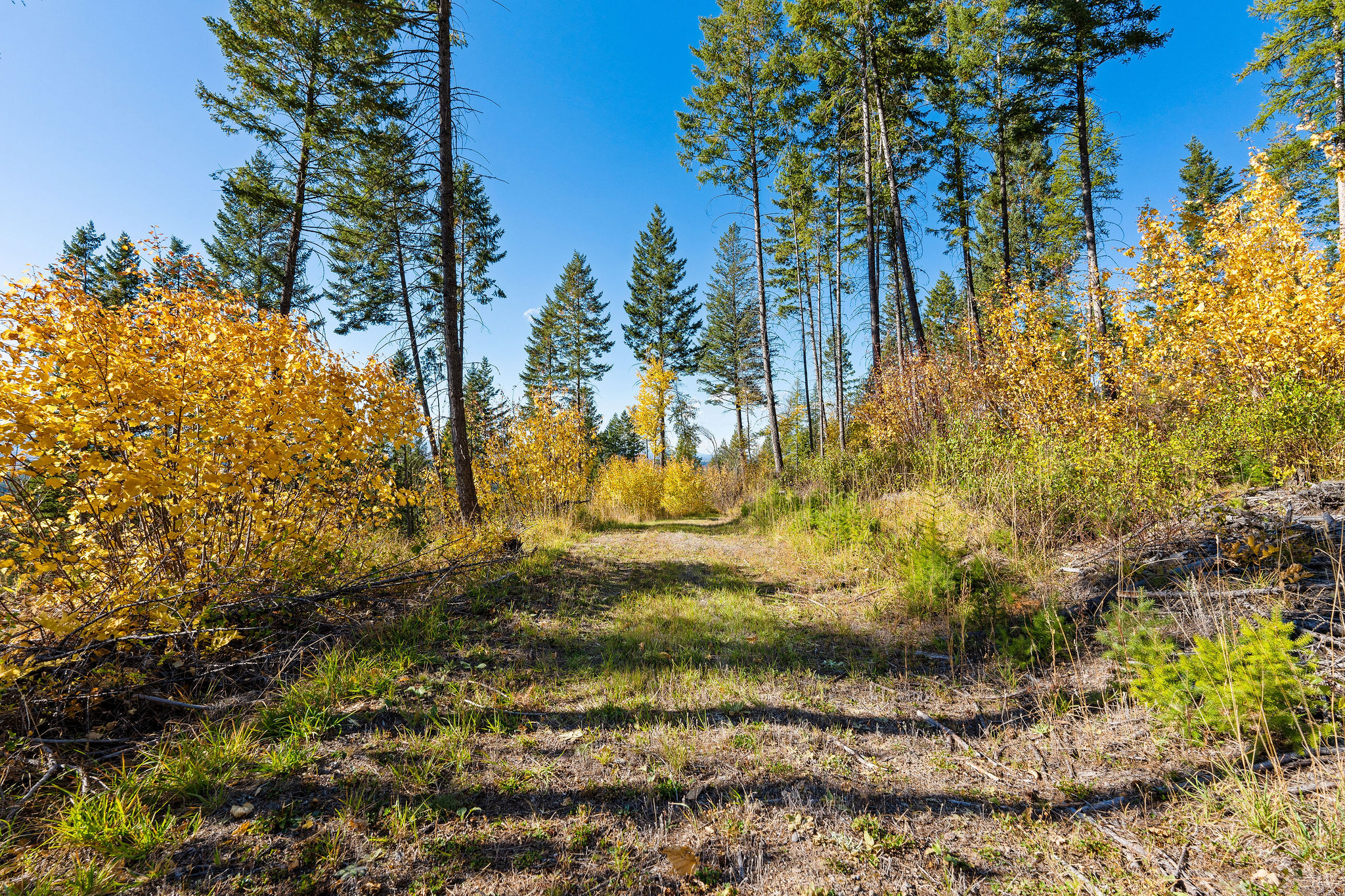 95 And 97 Browns Gulch Road Property Photo 15