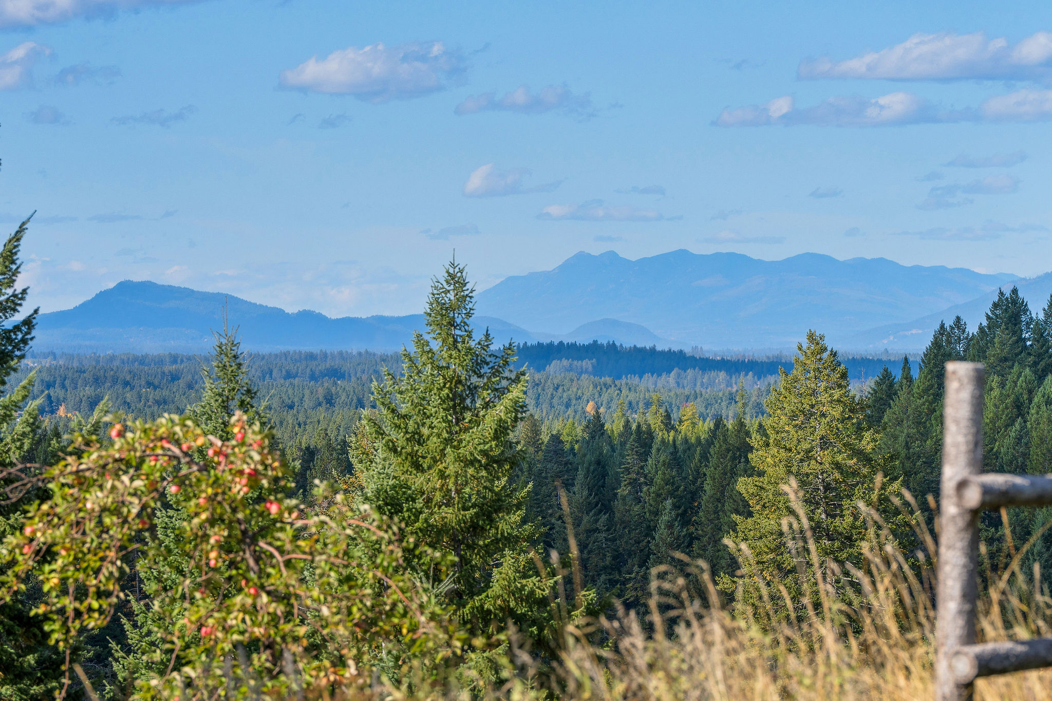 95 And 97 Browns Gulch Road Property Photo 22