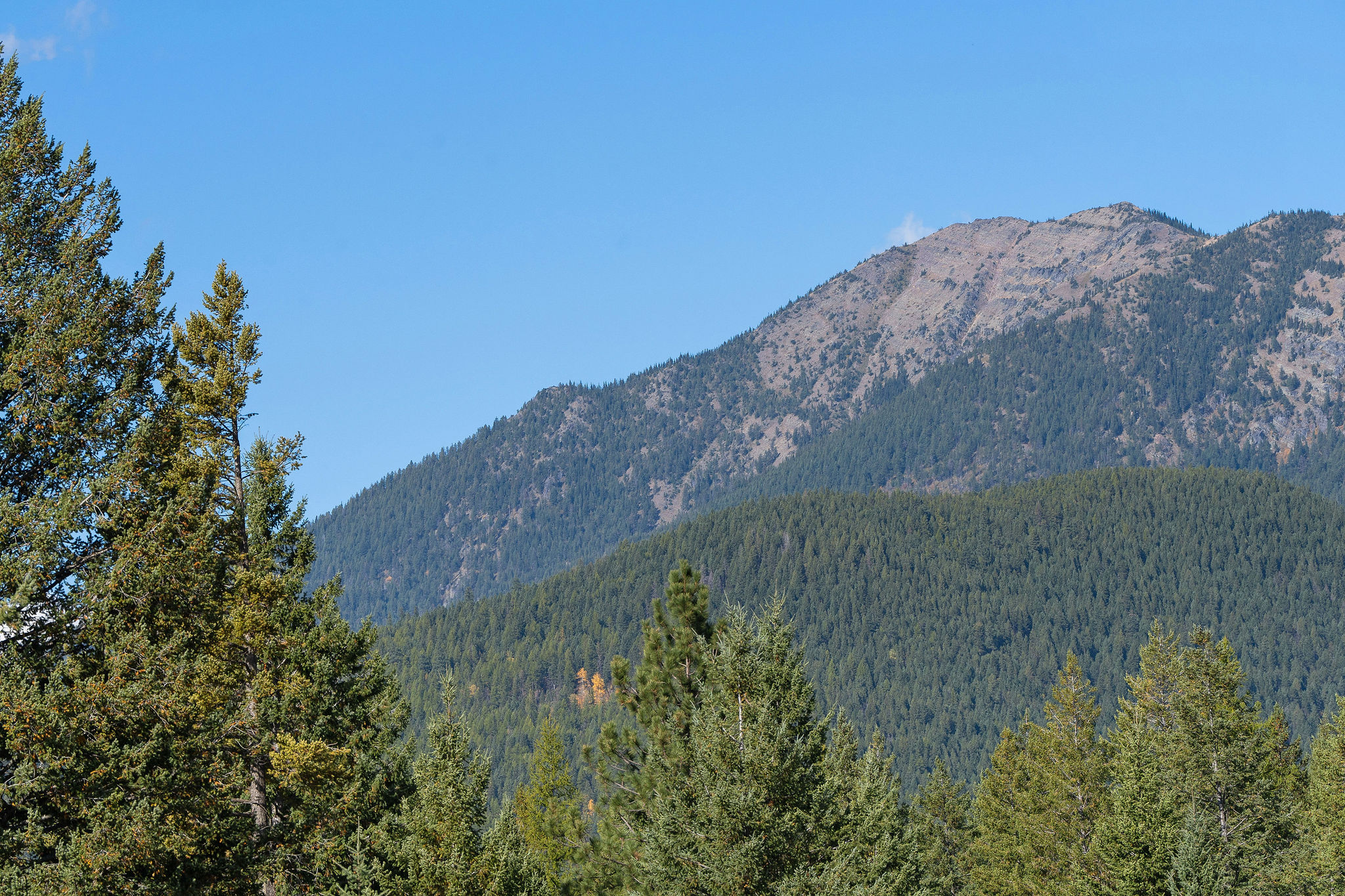 95 And 97 Browns Gulch Road Property Photo 23