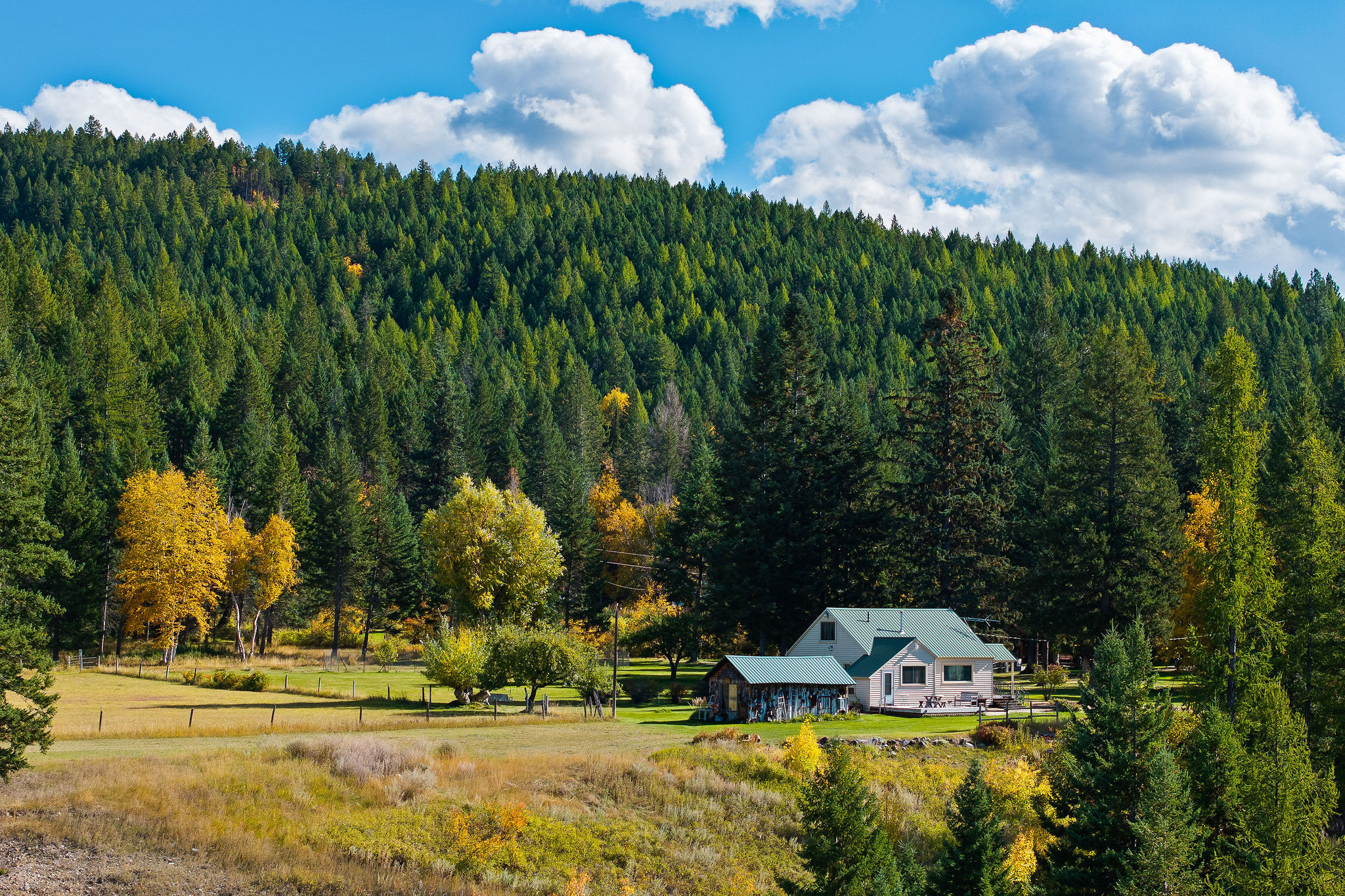 95 And 97 Browns Gulch Road Property Photo 24