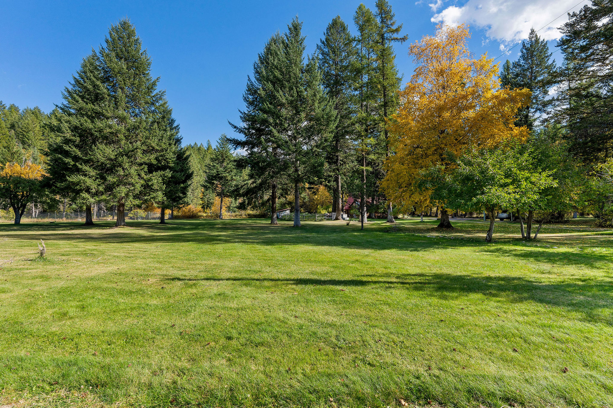95 And 97 Browns Gulch Road Property Photo 41