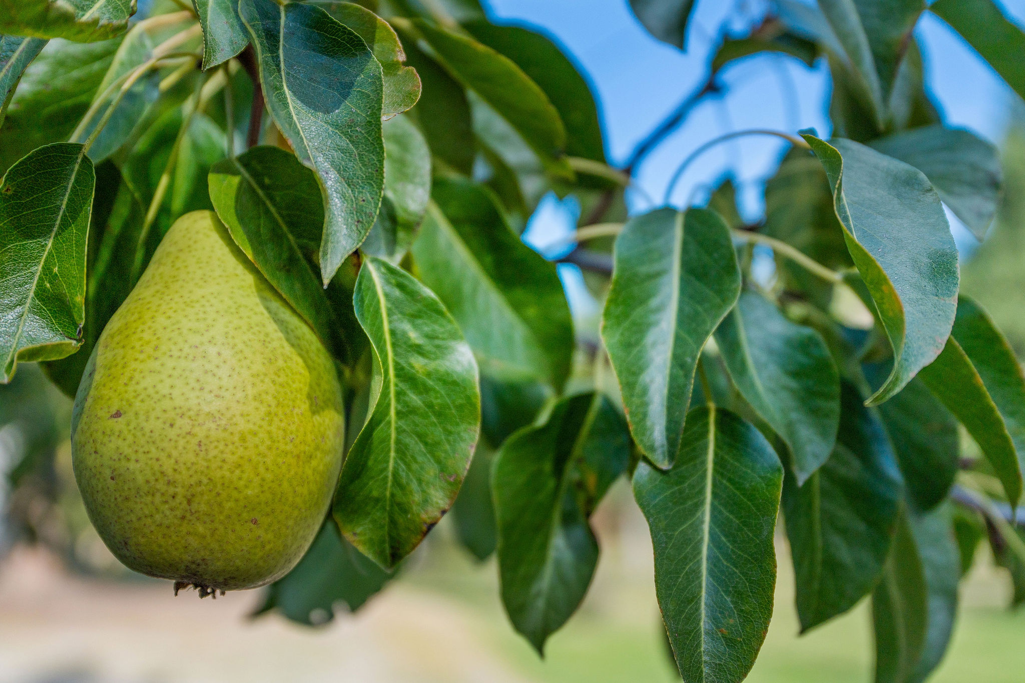 95 And 97 Browns Gulch Road Property Photo 68