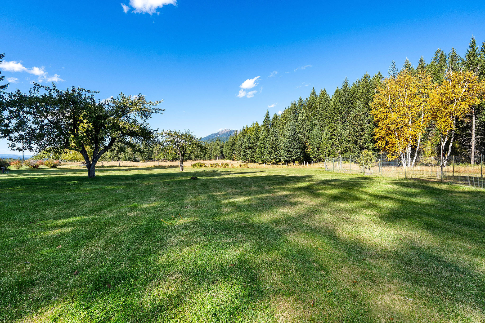 95 And 97 Browns Gulch Road Property Photo 70