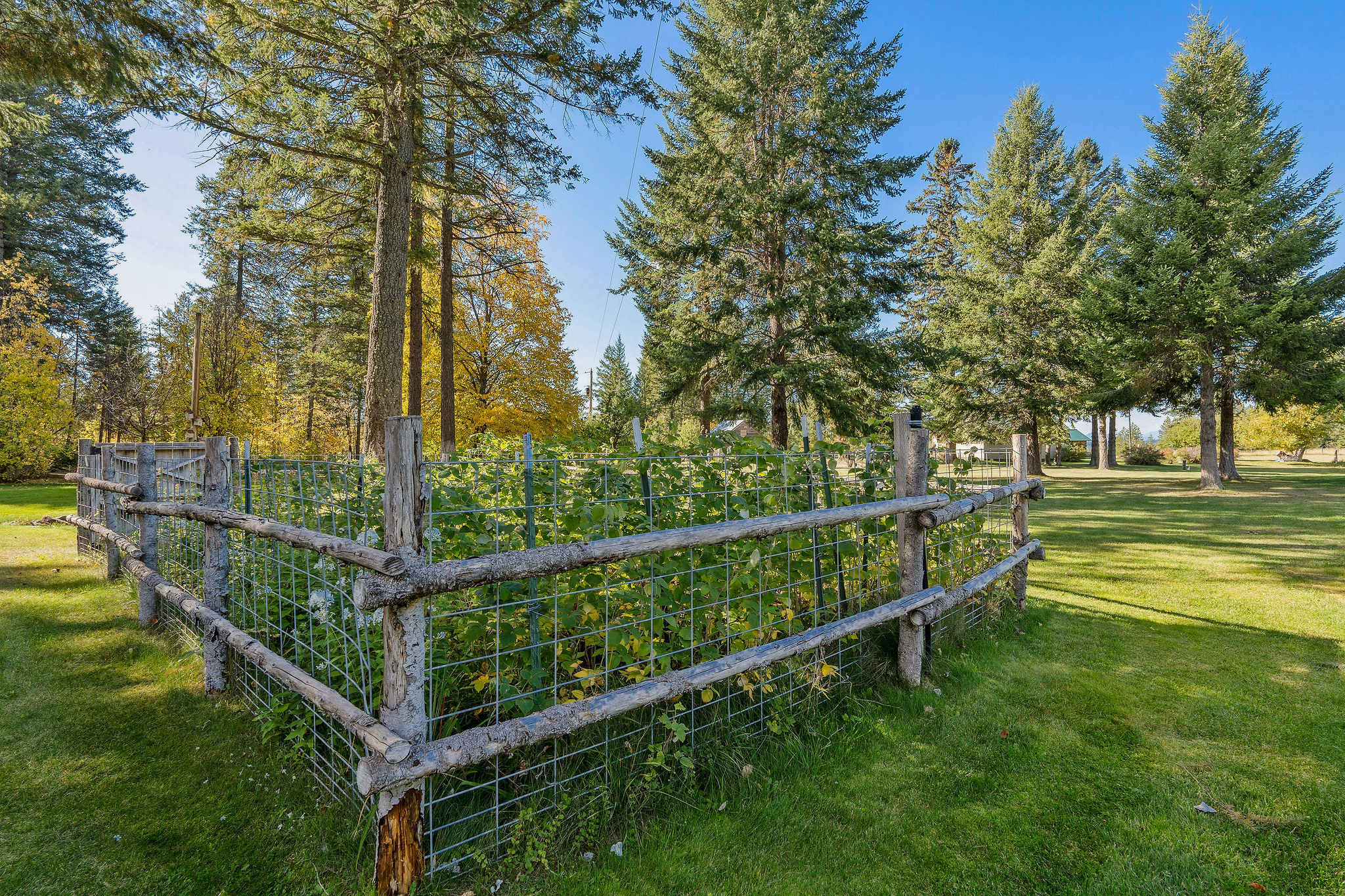 95 And 97 Browns Gulch Road Property Photo 72